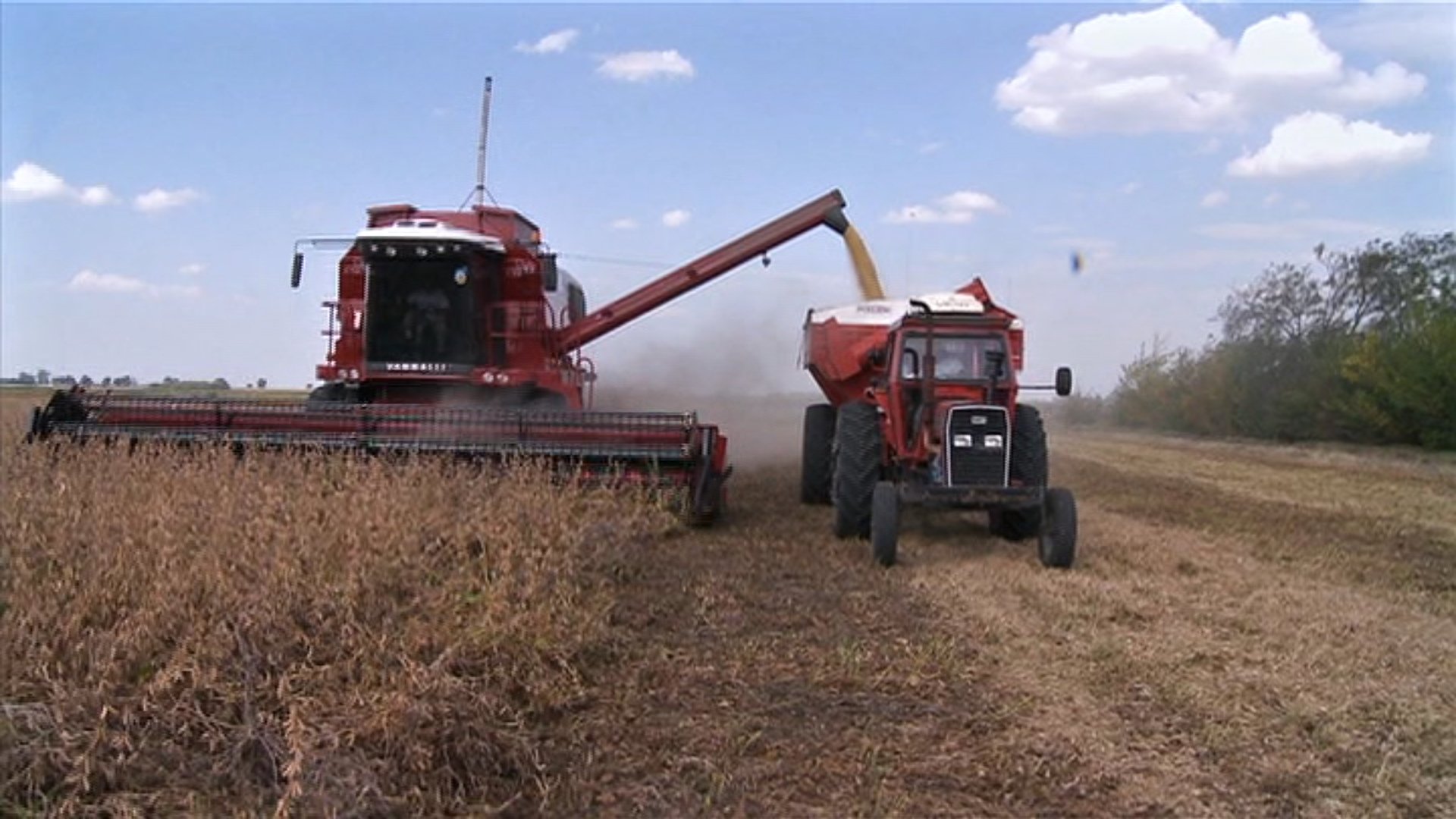 Vers un crash alimentaire|Vers un crash alimentaire