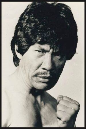 بازیگر Bobby Kim  