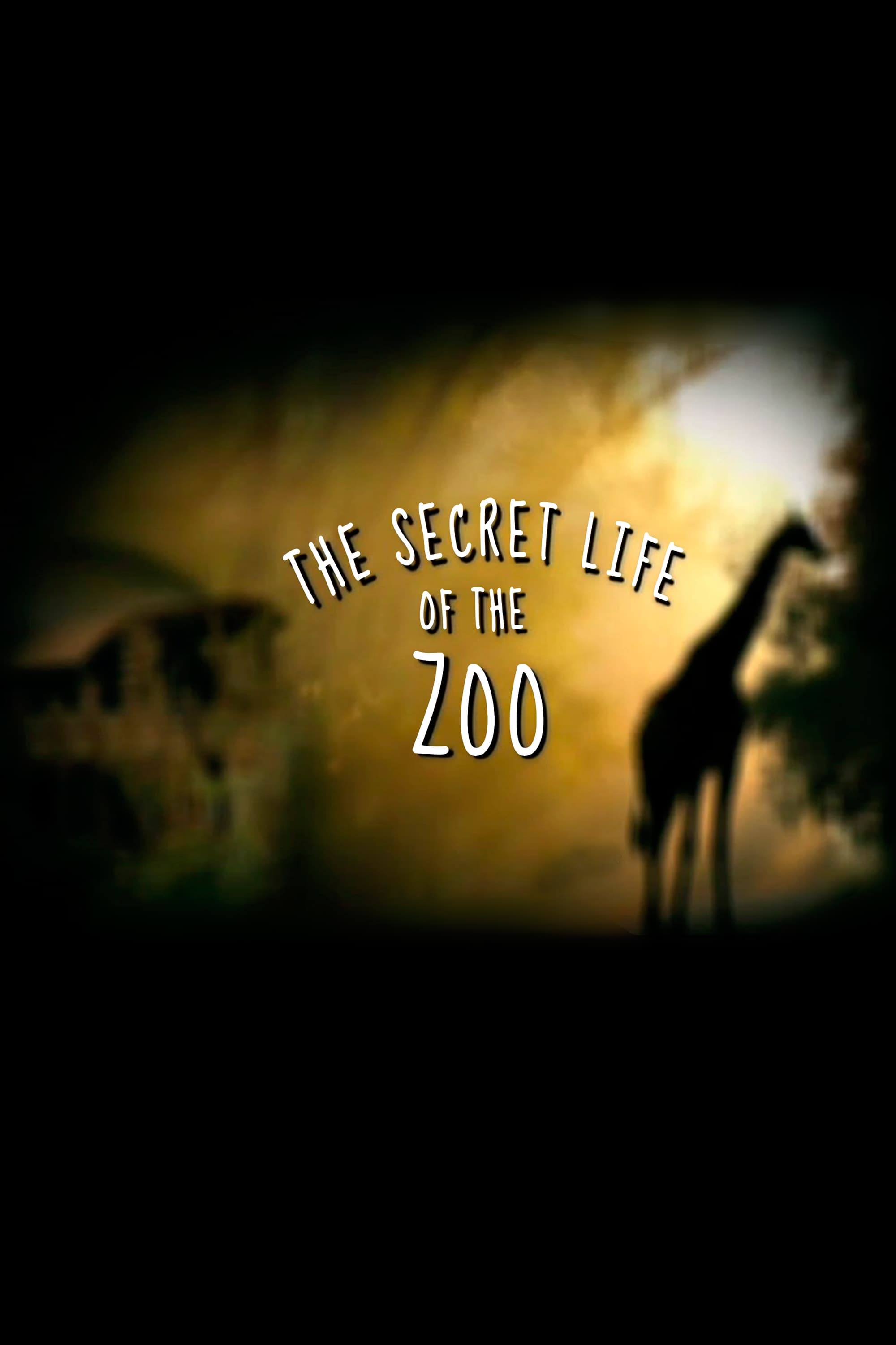 The Secret Life of the Zoo | The Secret Life of the Zoo