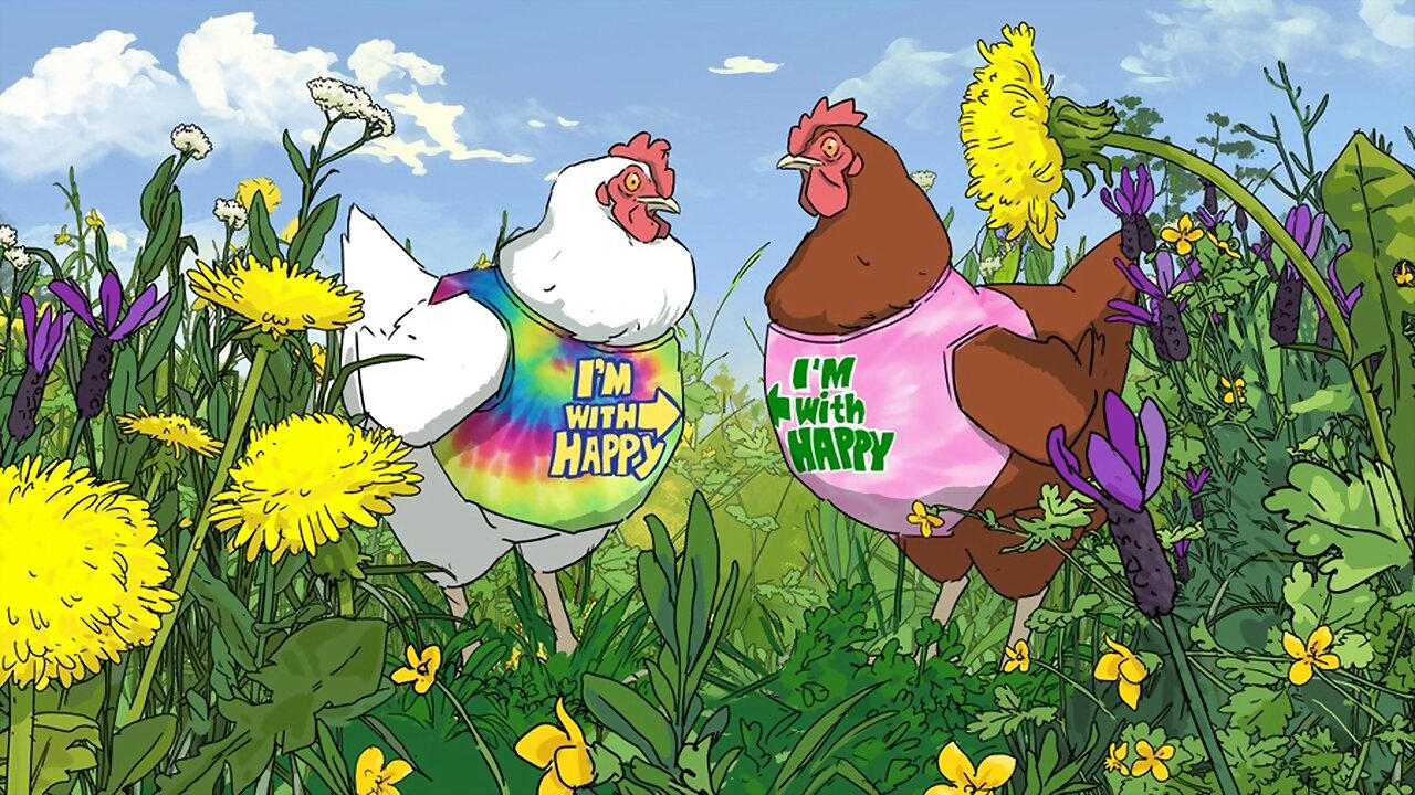 Free the Chickens|Free the Chickens