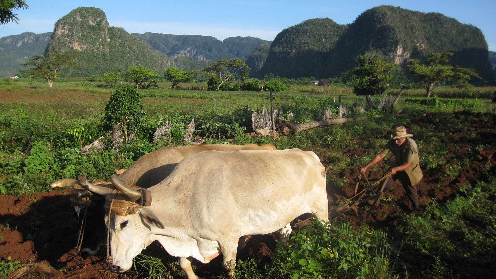 Cuba: The Accidental Eden|Cuba: The Accidental Eden