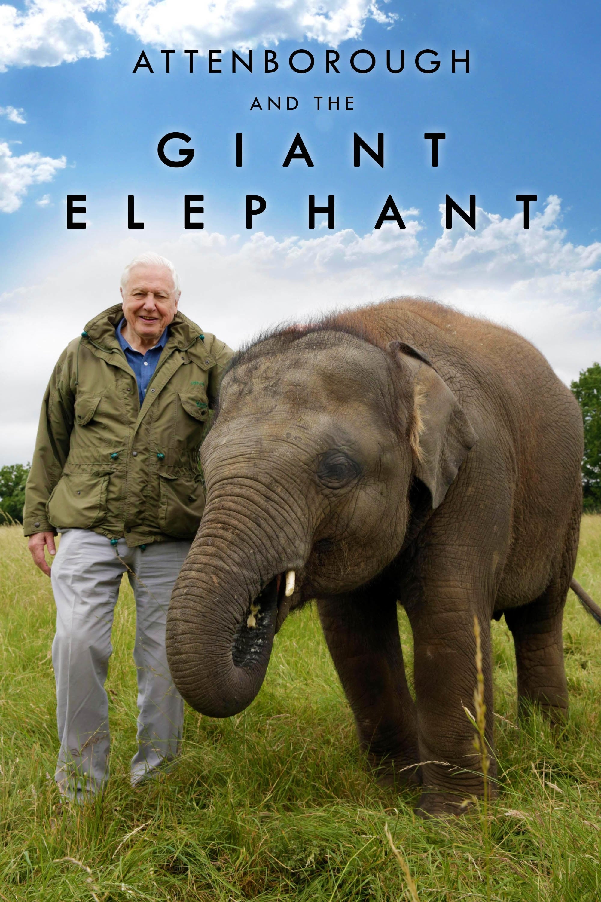 Attenborough and the Giant Elephant | Attenborough and the Giant Elephant