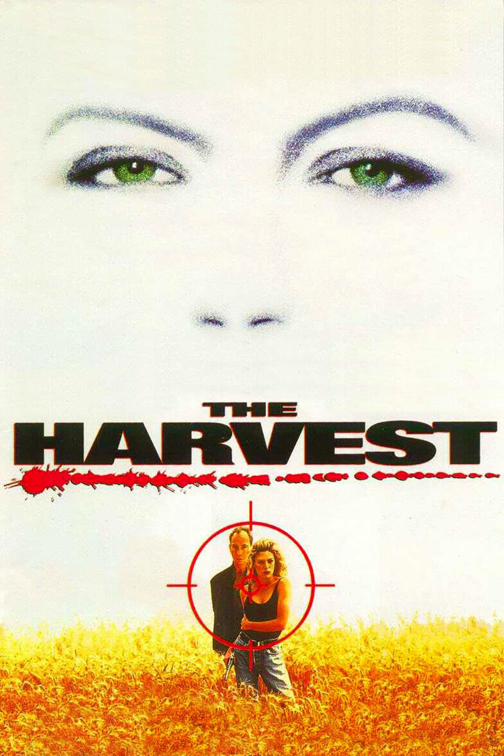 The Harvest | The Harvest