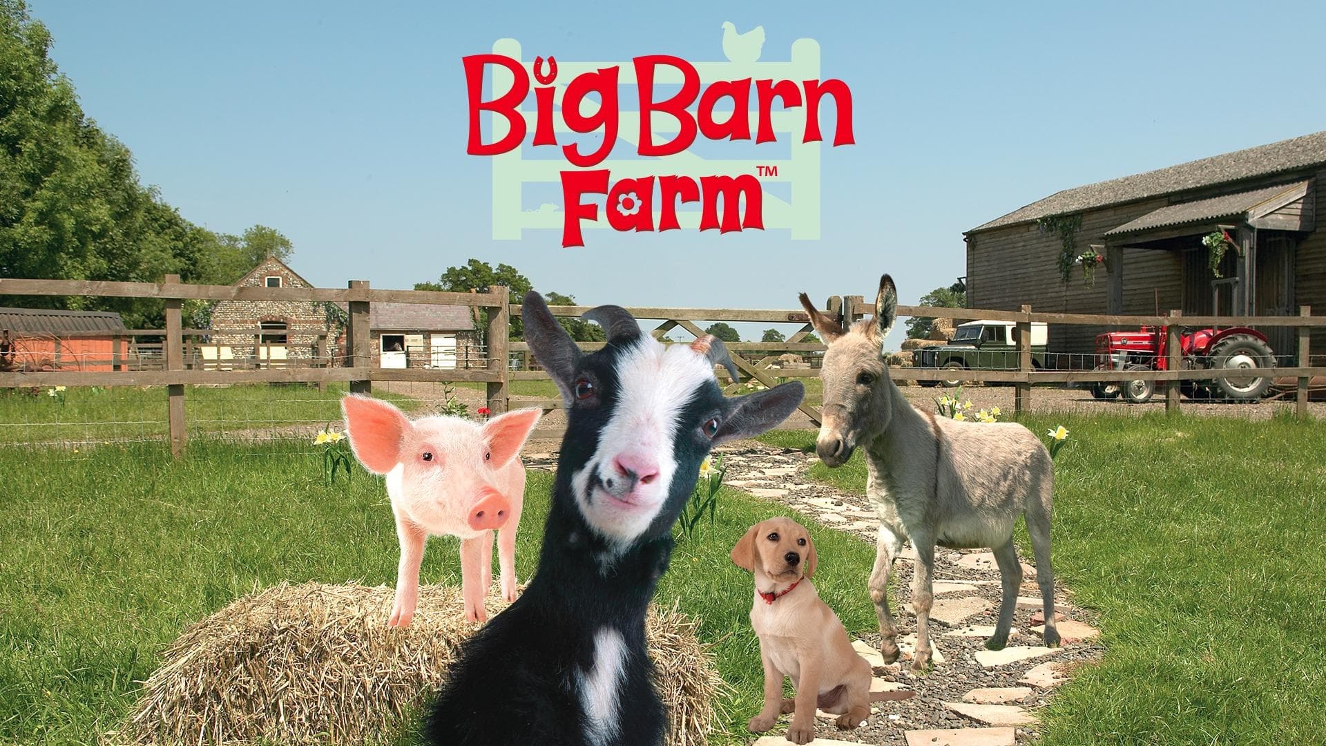 Big Barn Farm|Big Barn Farm