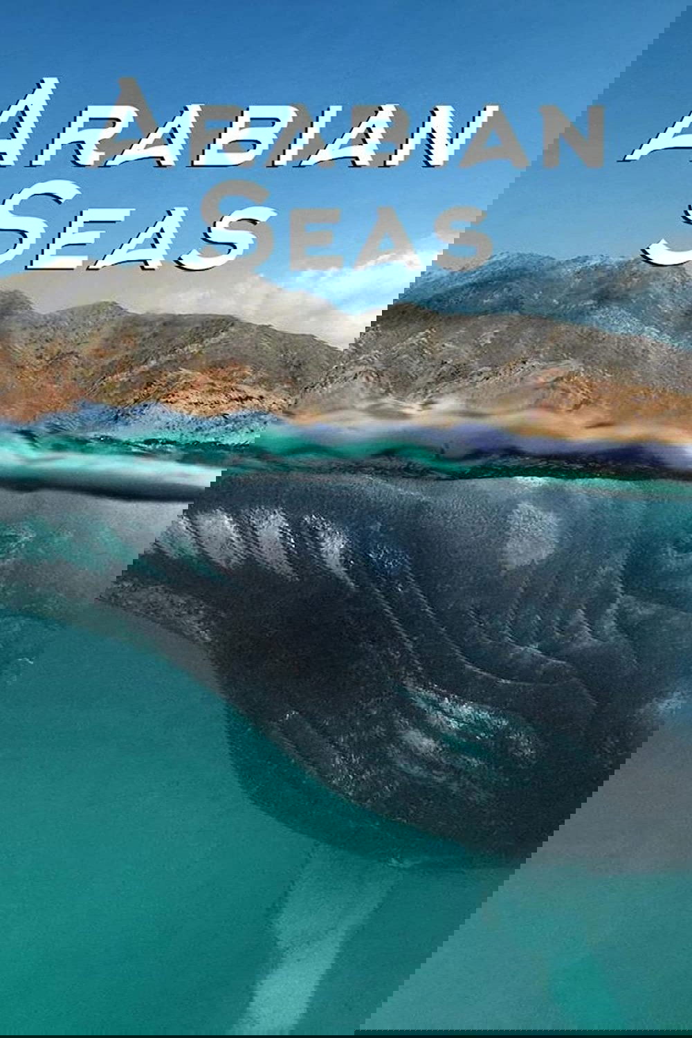 Arabian Seas