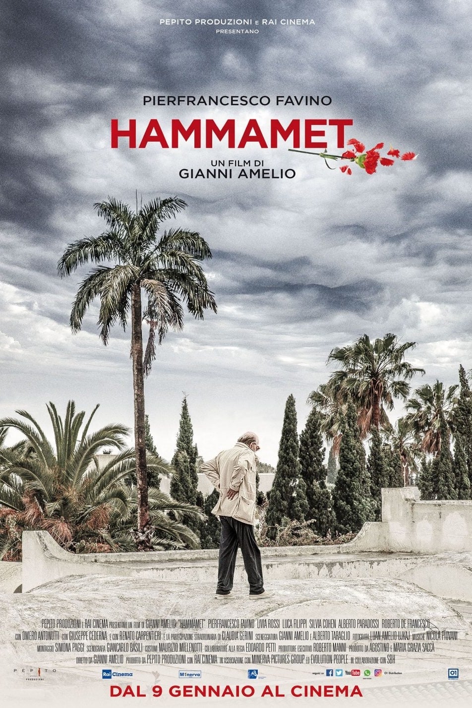 Hammamet | Hammamet