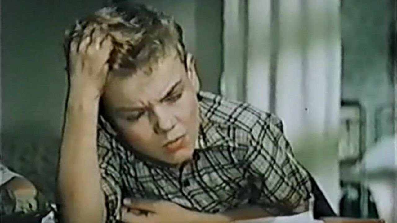Дым в лесу|Дым в лесу