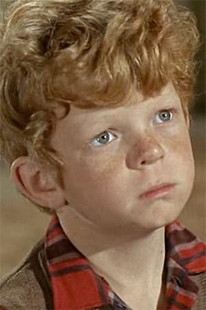 بازیگر Johnny Whitaker  