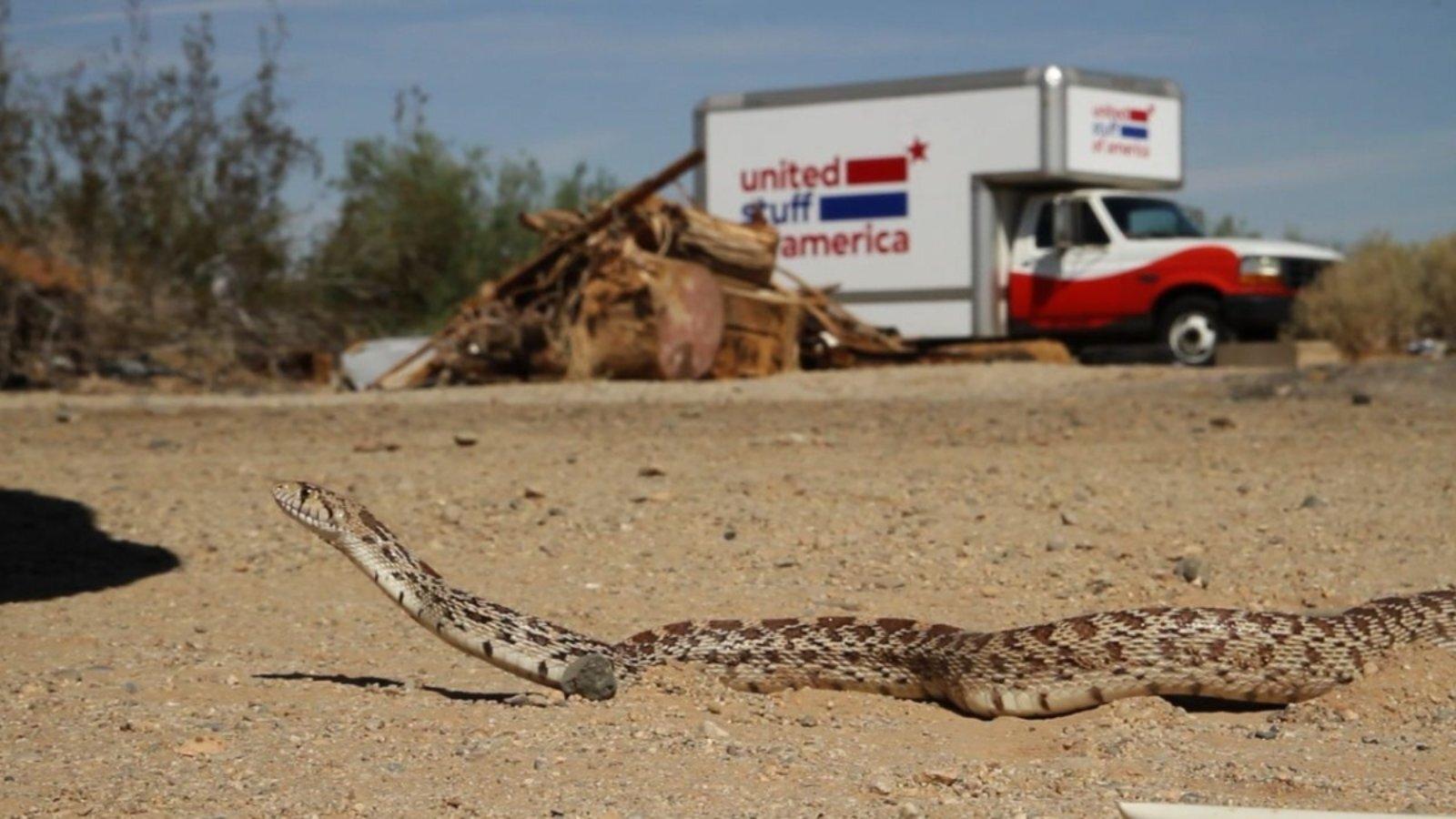 United Stuff of America|United Stuff of America