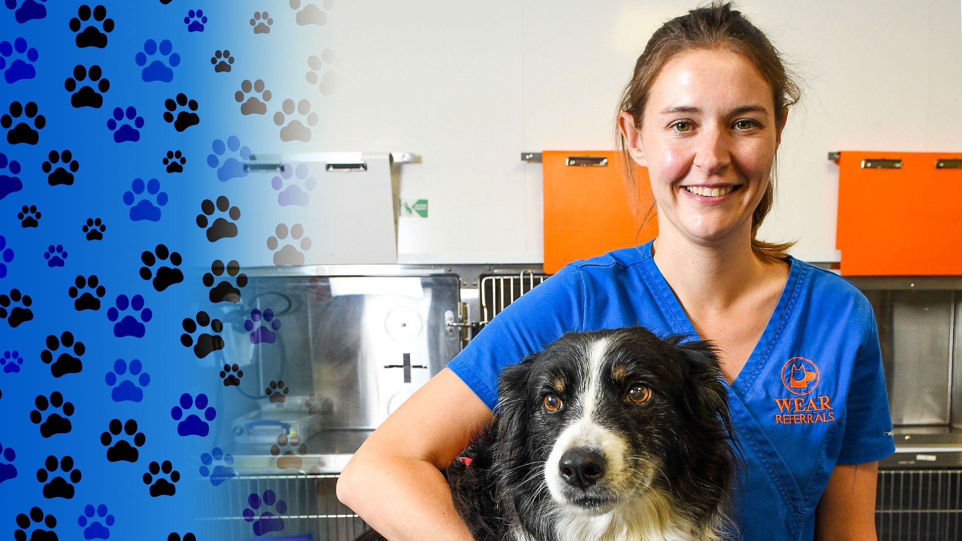 24/7 Pet Hospital|24/7 Pet Hospital