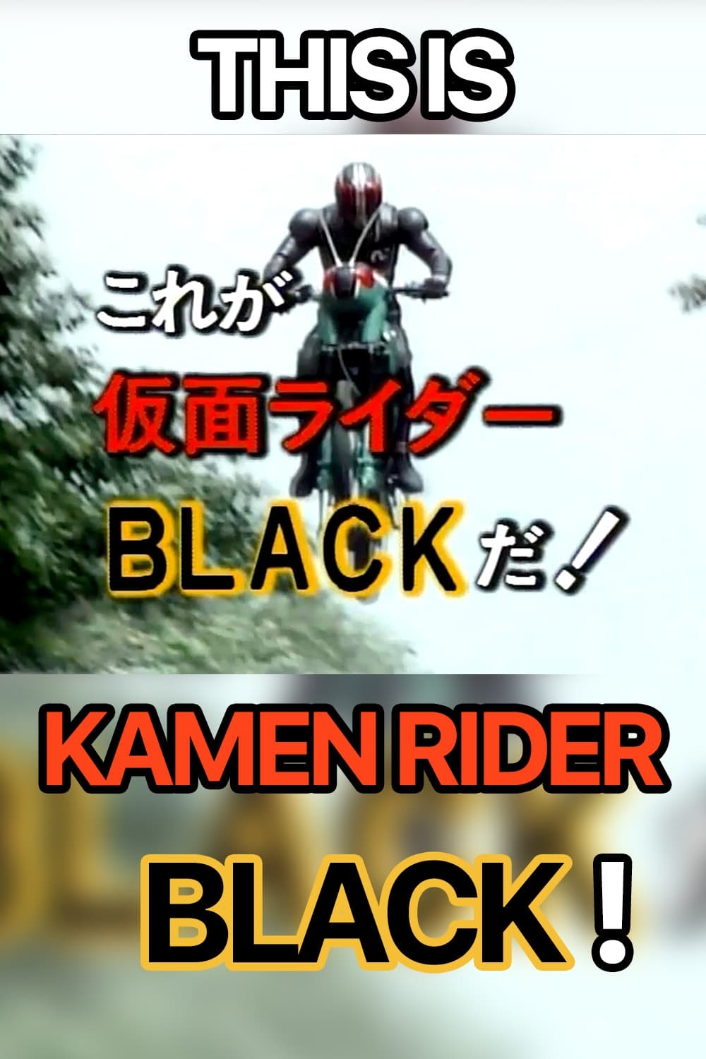 これが仮面ライダー BLACK だ！