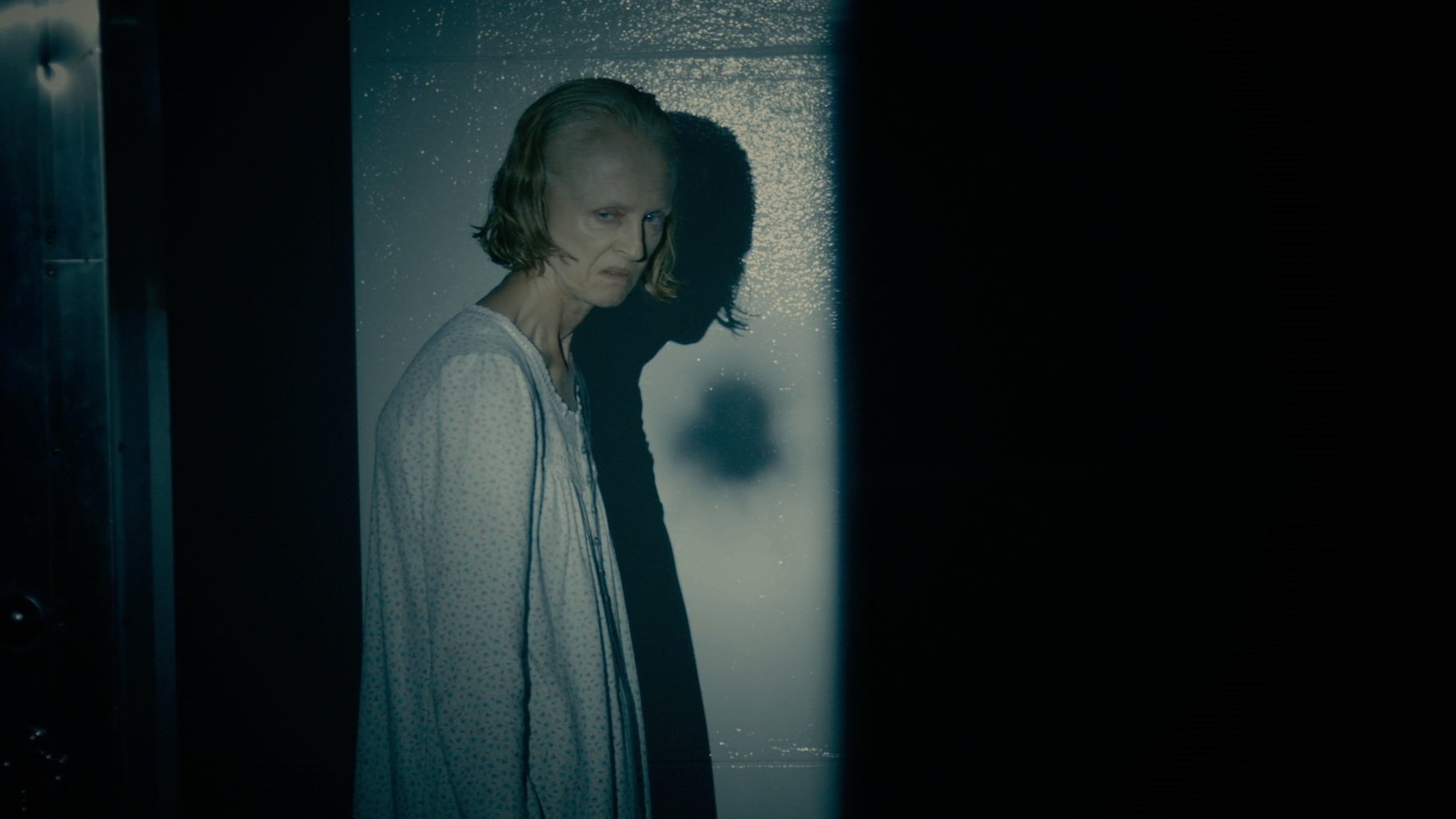 The Taking of Deborah Logan|The Taking of Deborah Logan
