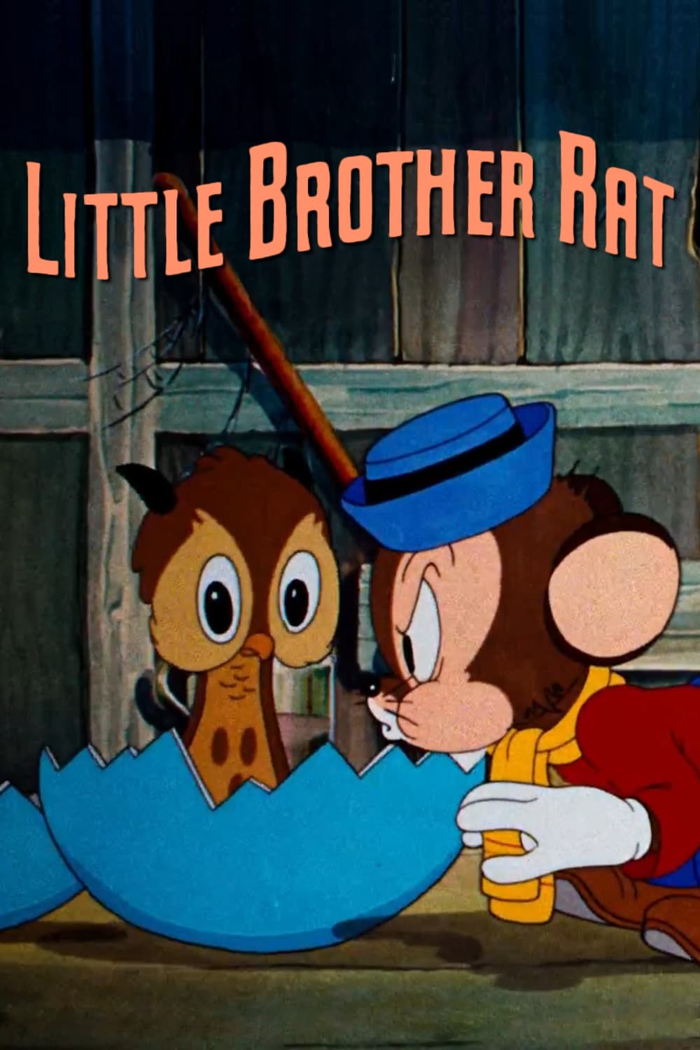 Little Brother Rat | Little Brother Rat