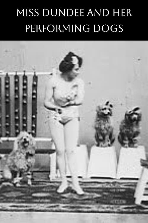 Miss Dundee et ses chiens savants