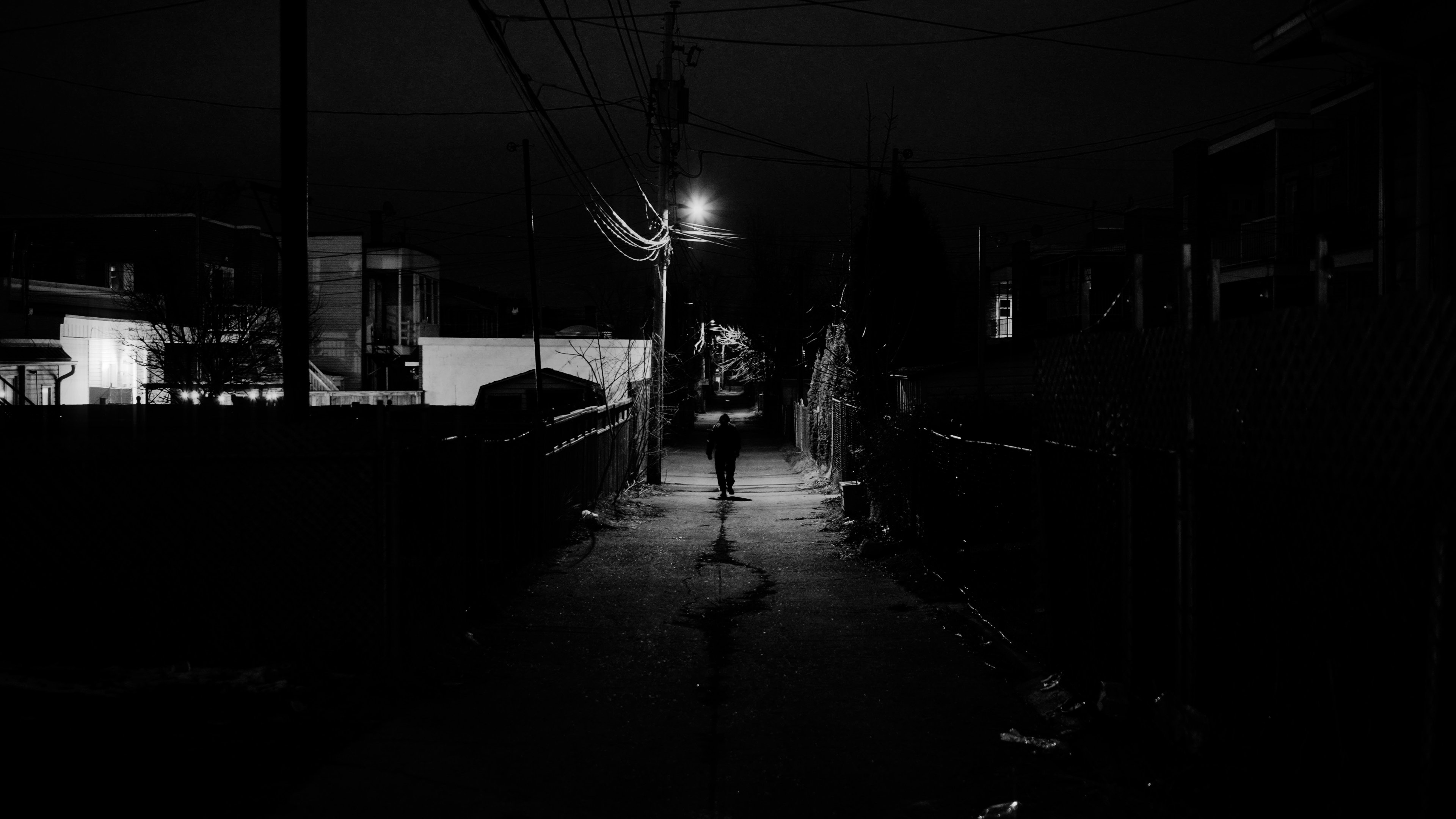 The Writer|The Writer