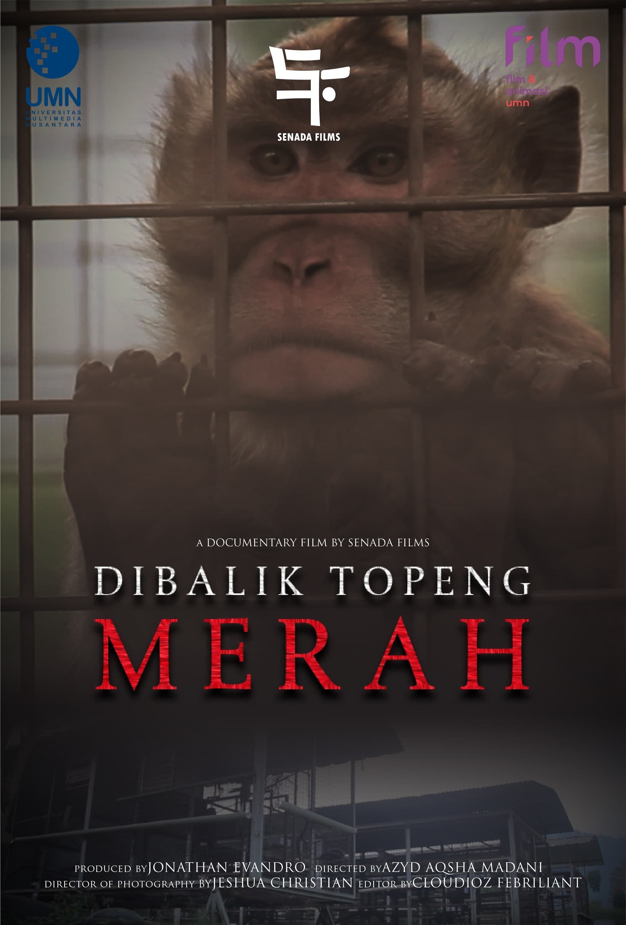 Di Balik Topeng Merah | Di Balik Topeng Merah