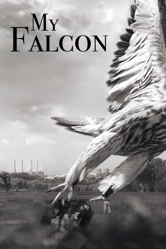 Mein Falke