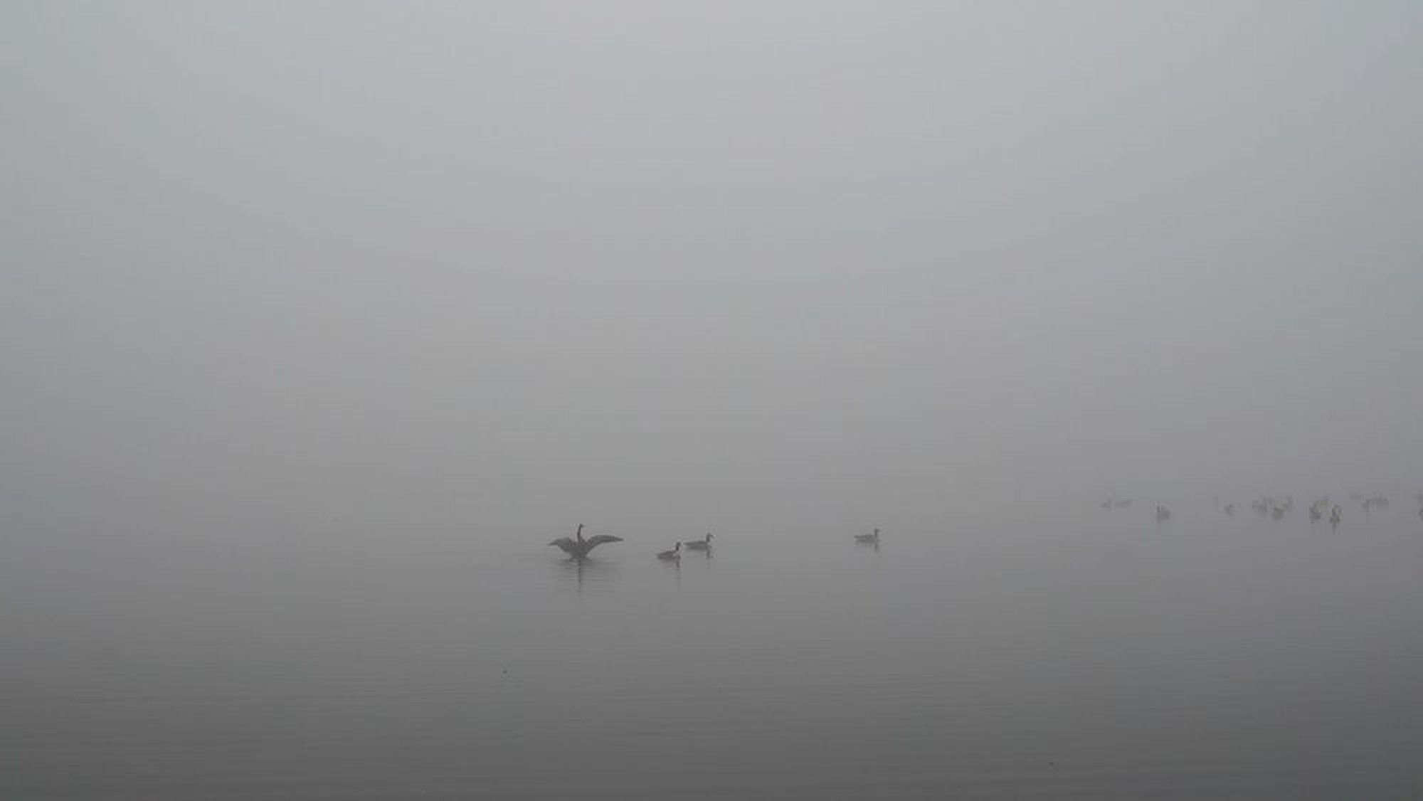 تصویر 1
