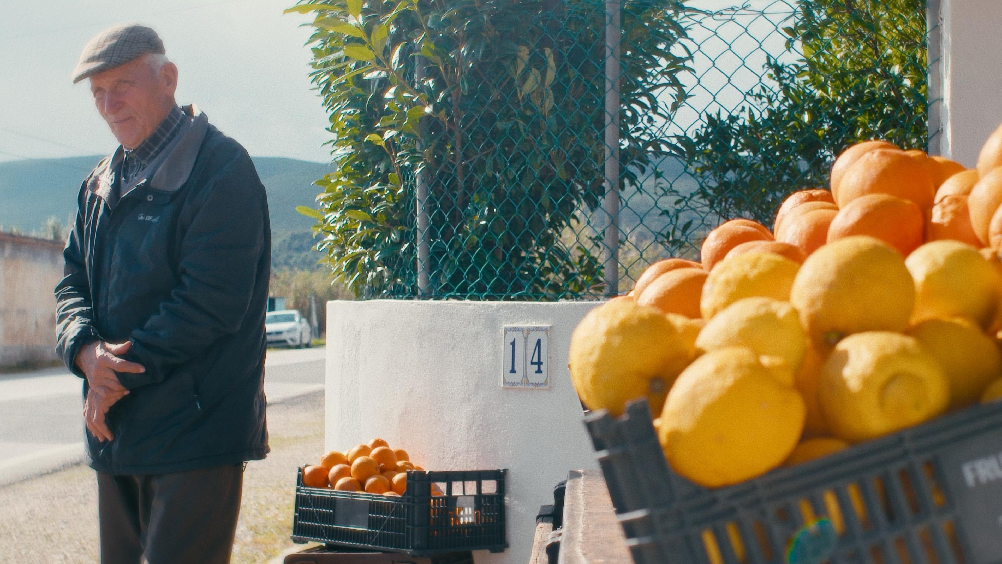 O Tempo De Comer Uma Laranja|O Tempo De Comer Uma Laranja