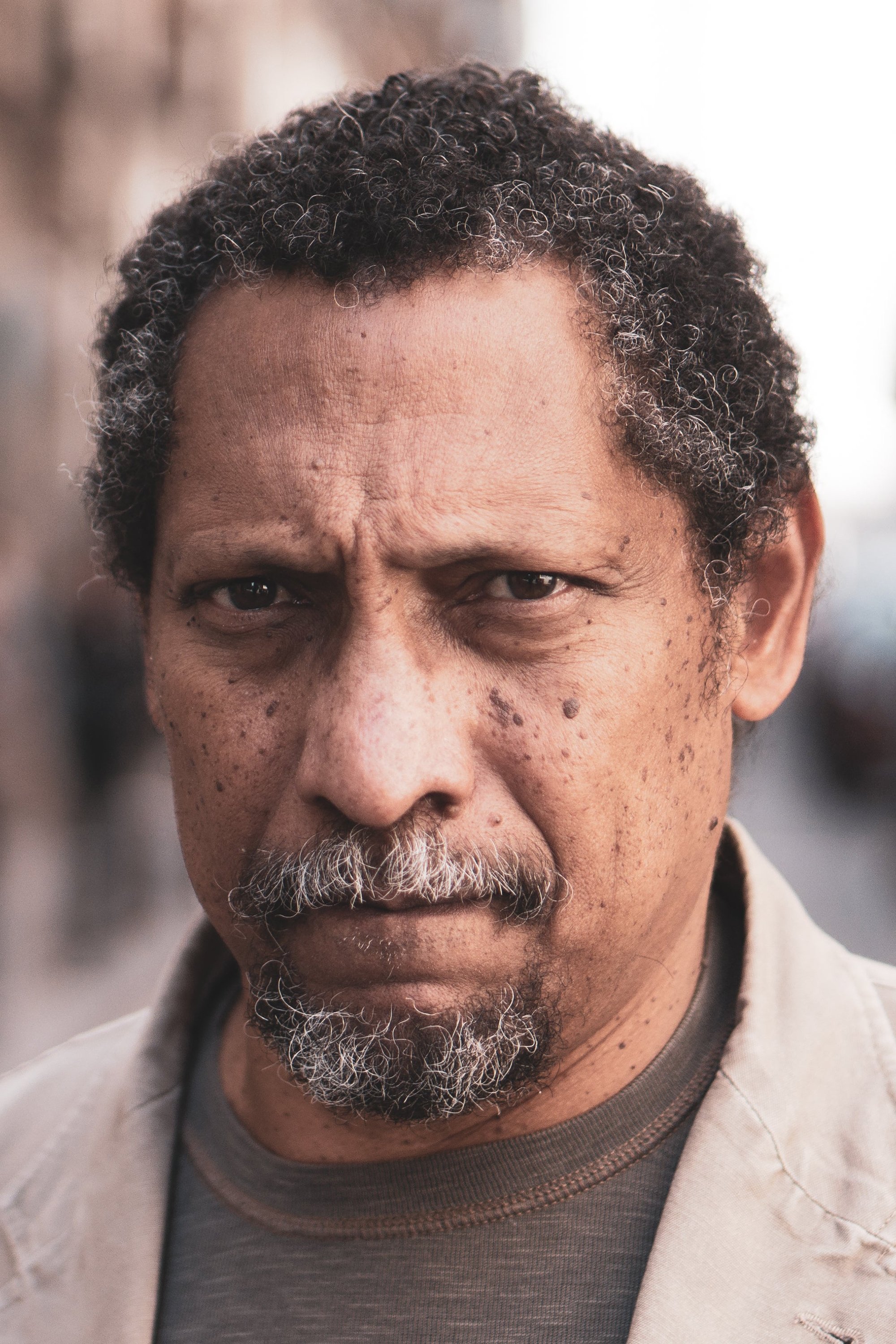 بازیگر Percival Everett  