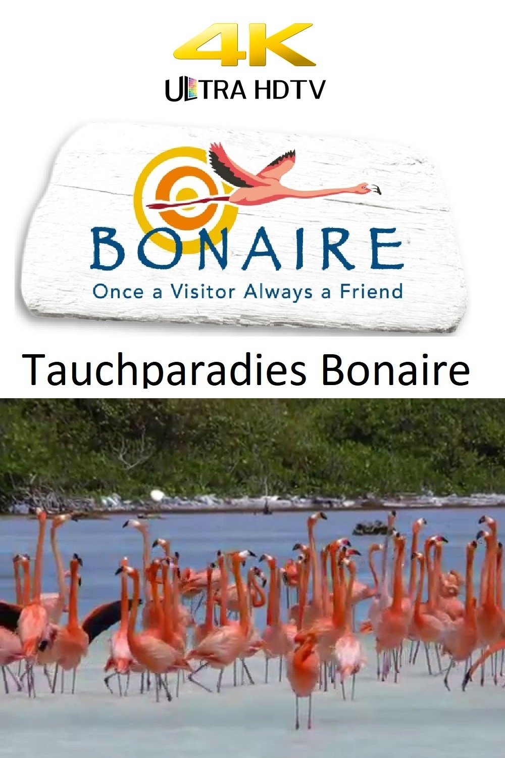Tauchparadies Bonaire
