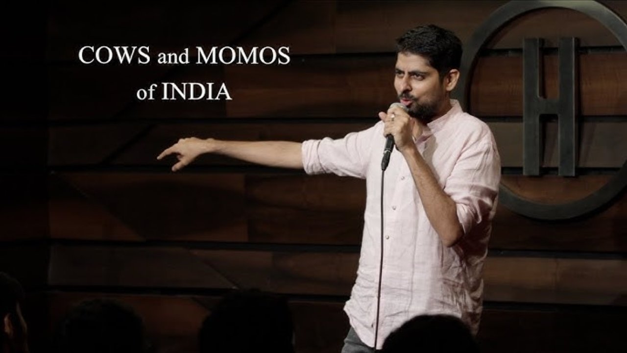 Cows and Momos of India|Cows and Momos of India