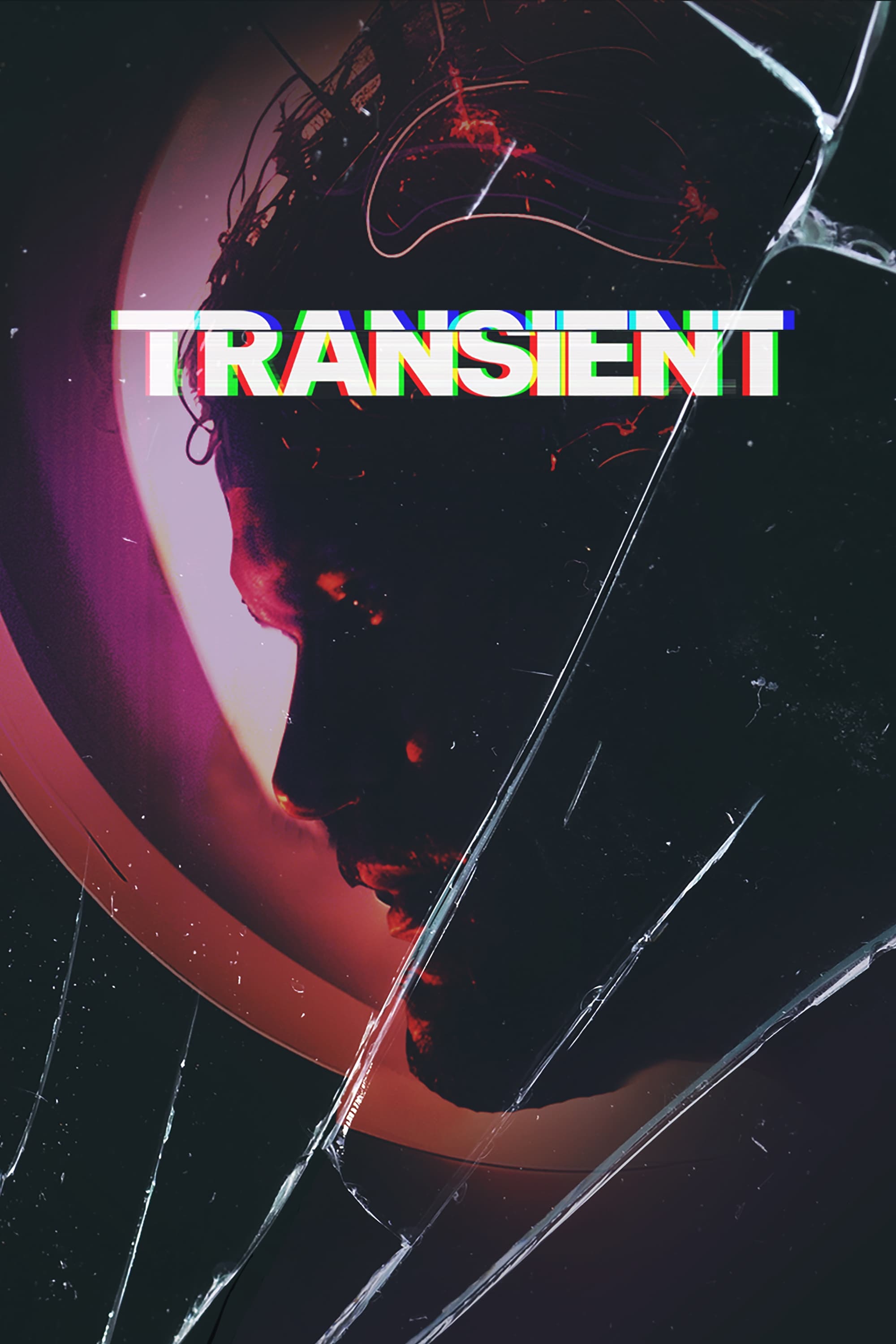 Transient | Transient