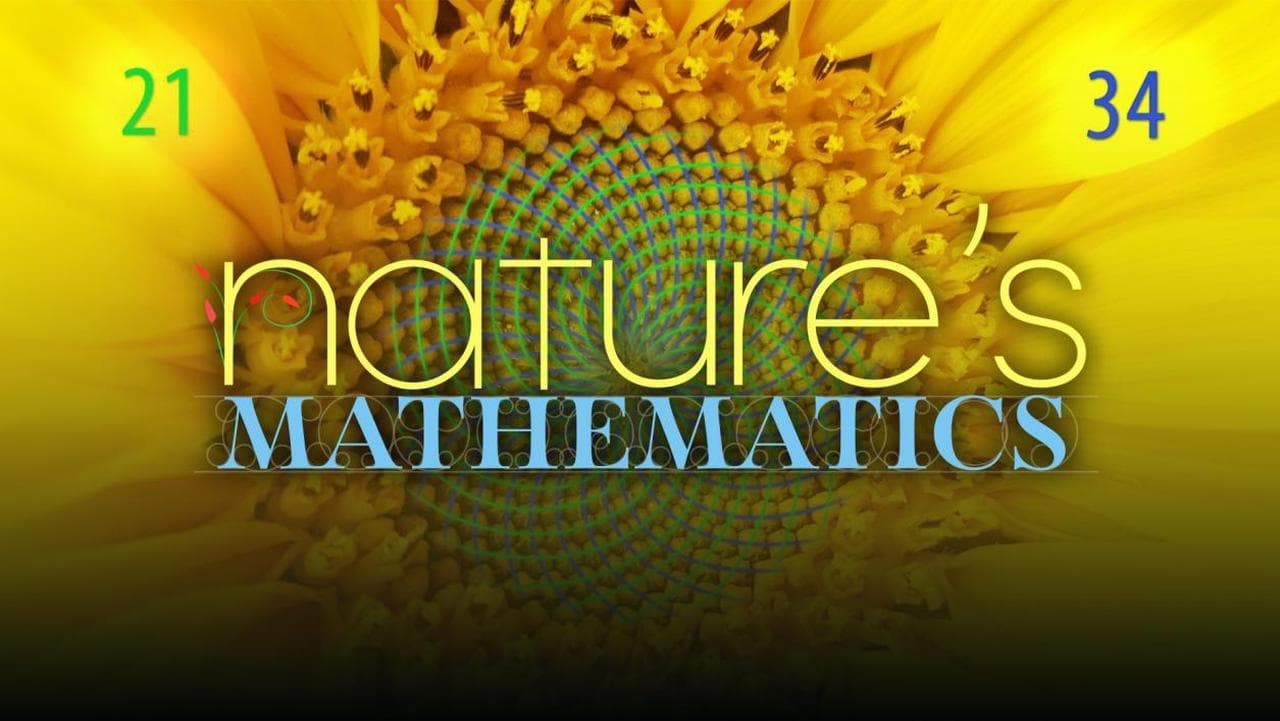 Nature's Mathematics|Nature's Mathematics