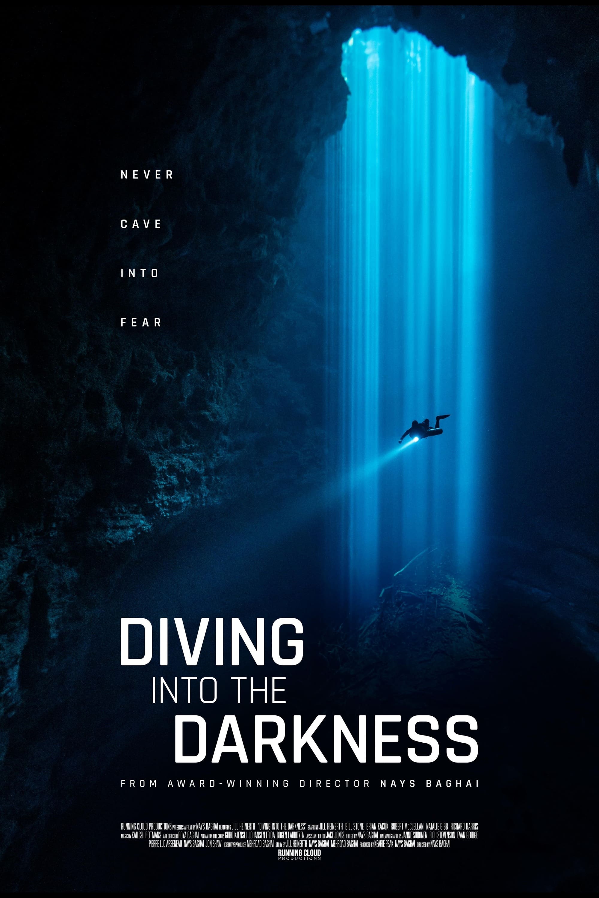 Diving Into The Darkness