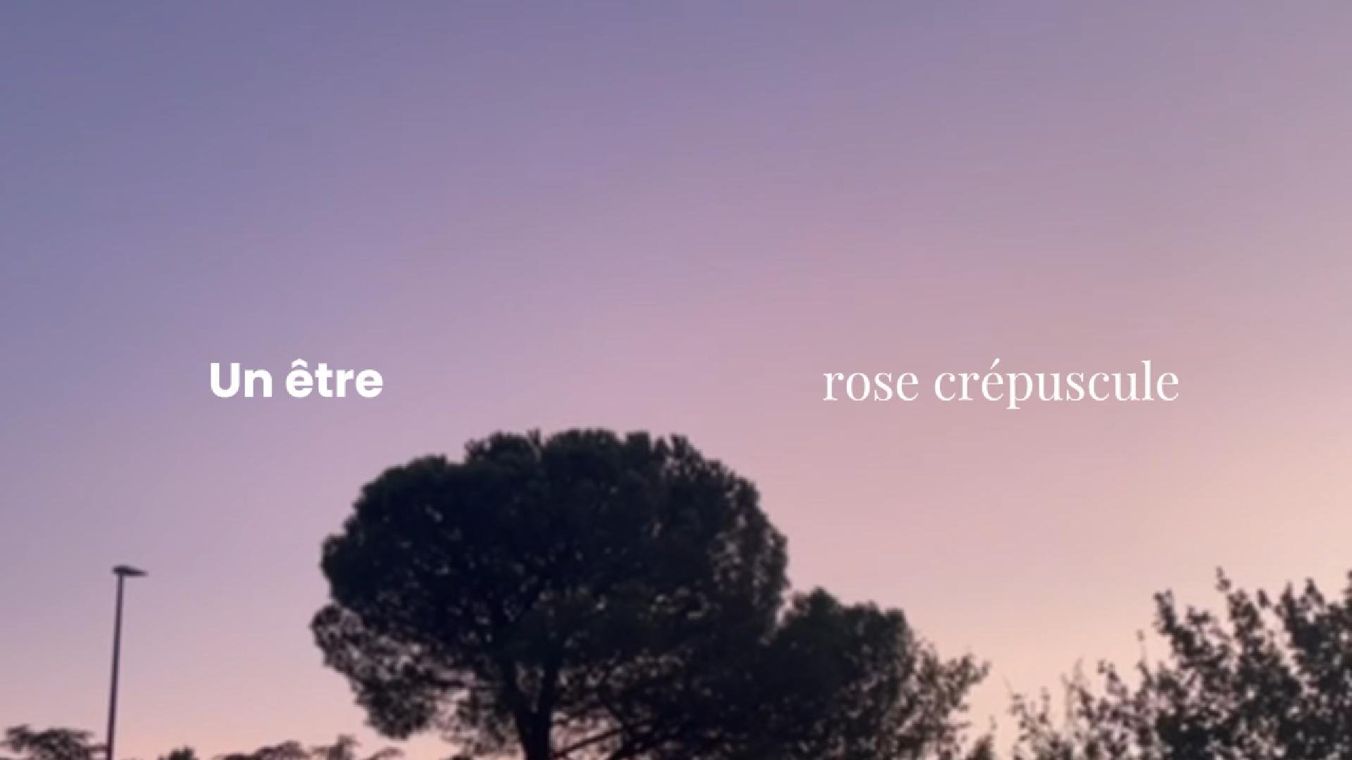 Un Être Rose Crépuscule|Un Être Rose Crépuscule