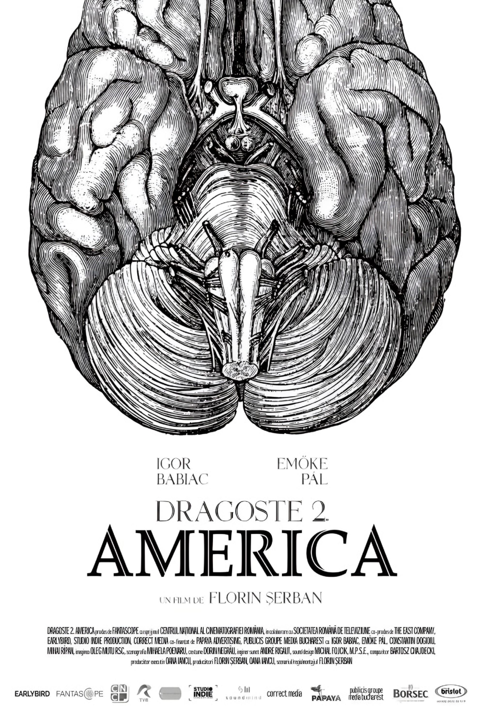 Dragoste 2. America