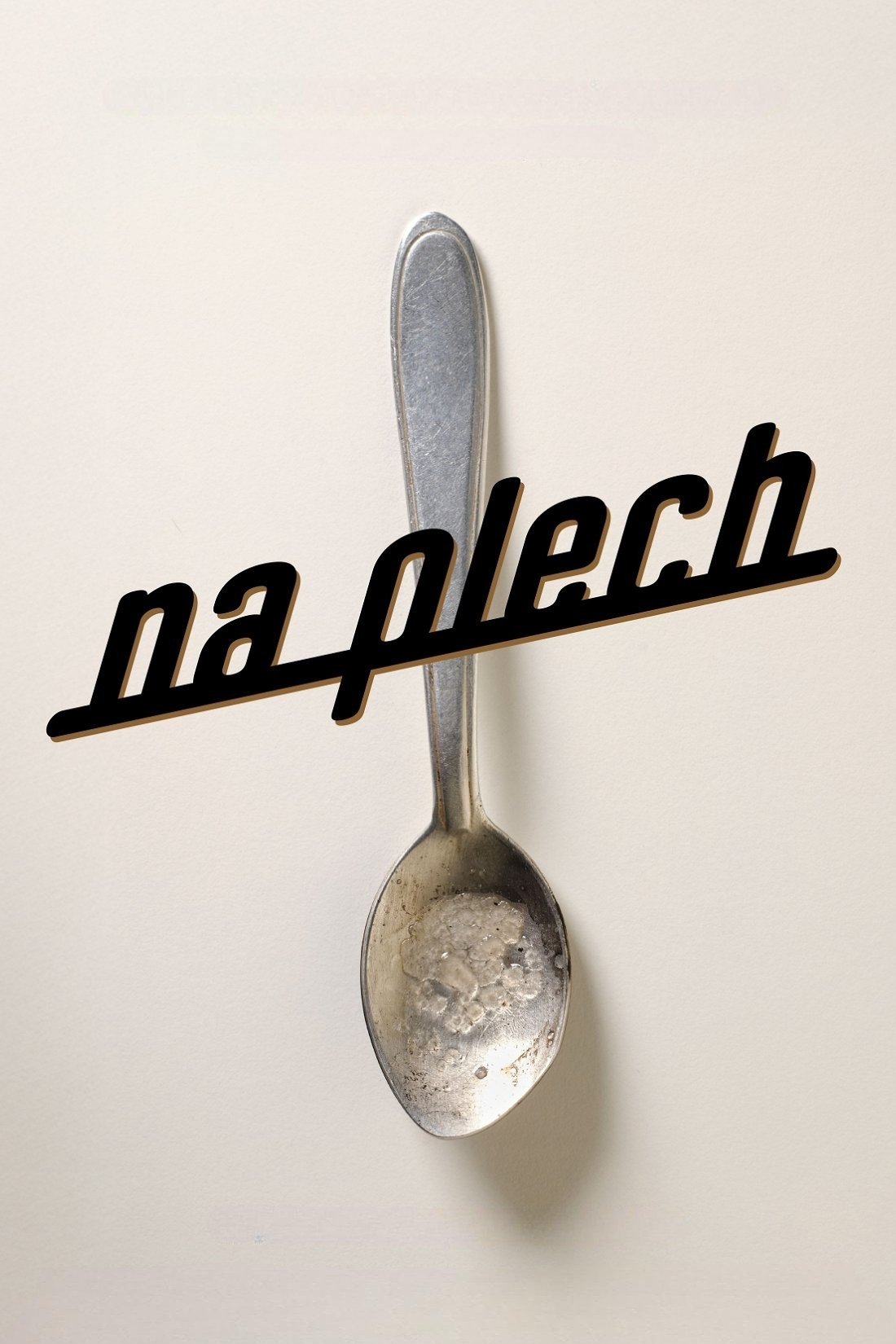 Na plech