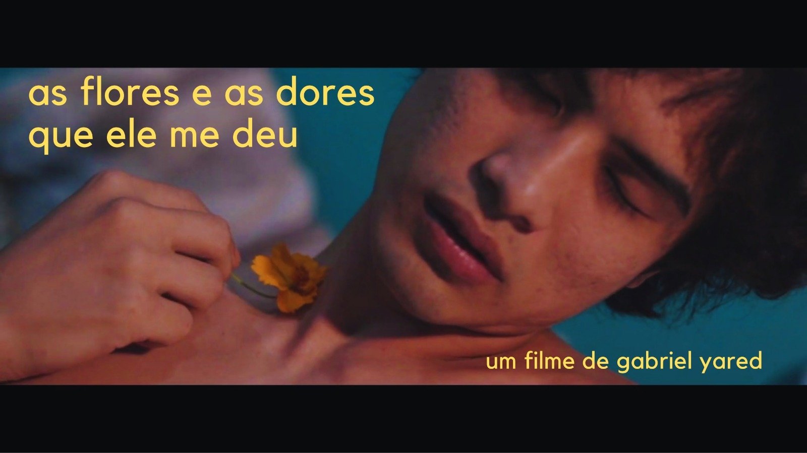 as flores e as dores que ele me deu|as flores e as dores que ele me deu