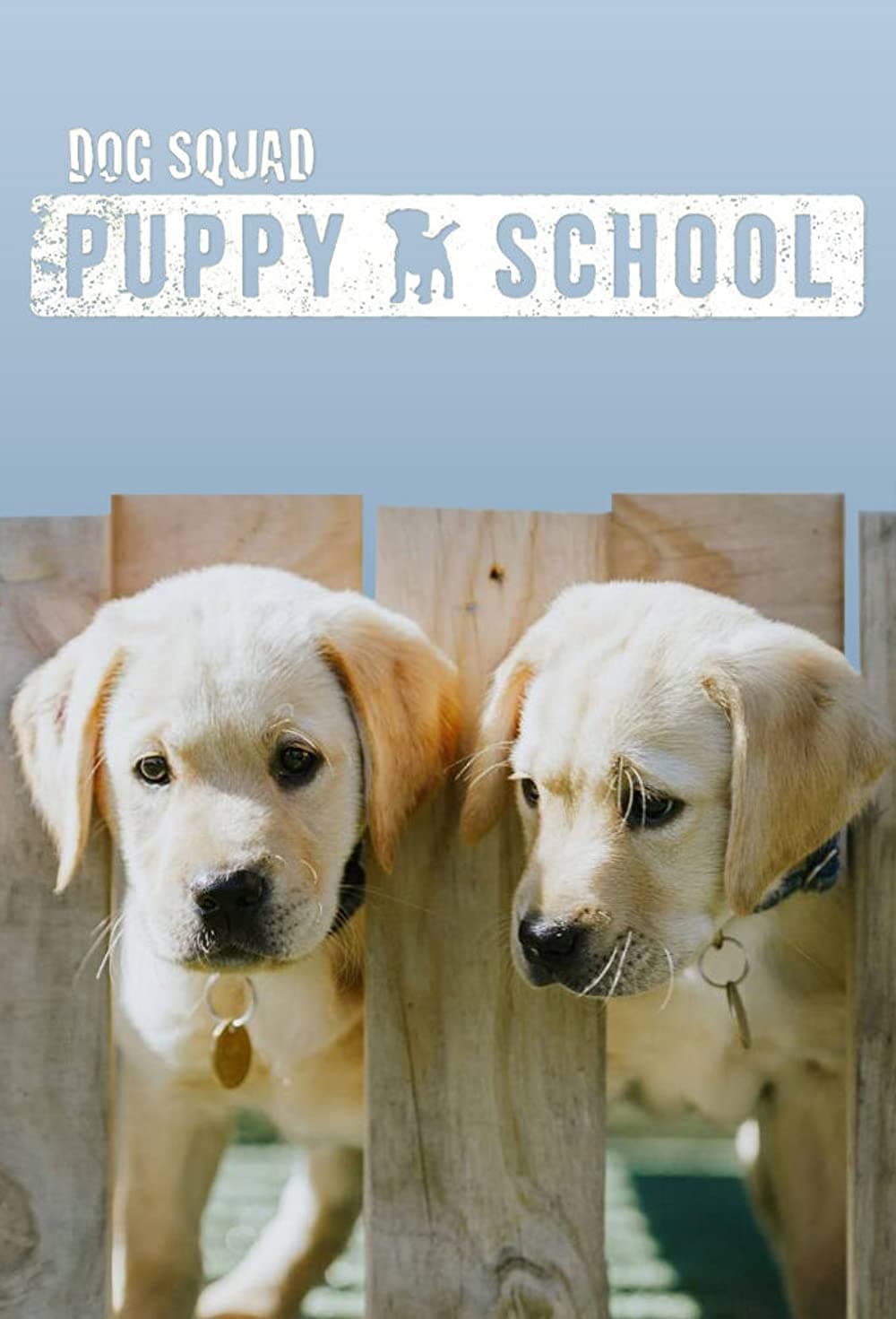 Dog Squad Puppy School | Dog Squad Puppy School