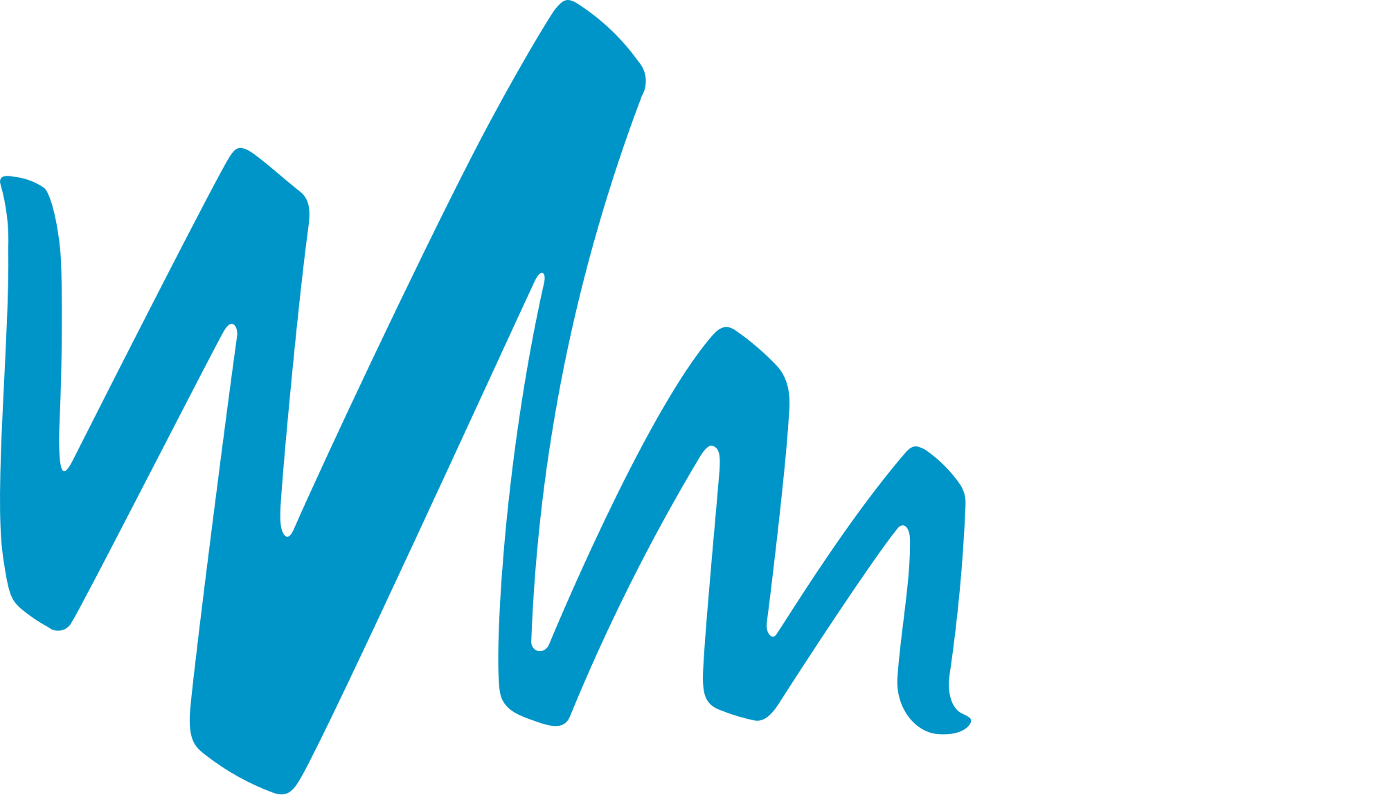 Wild Mercury Productions