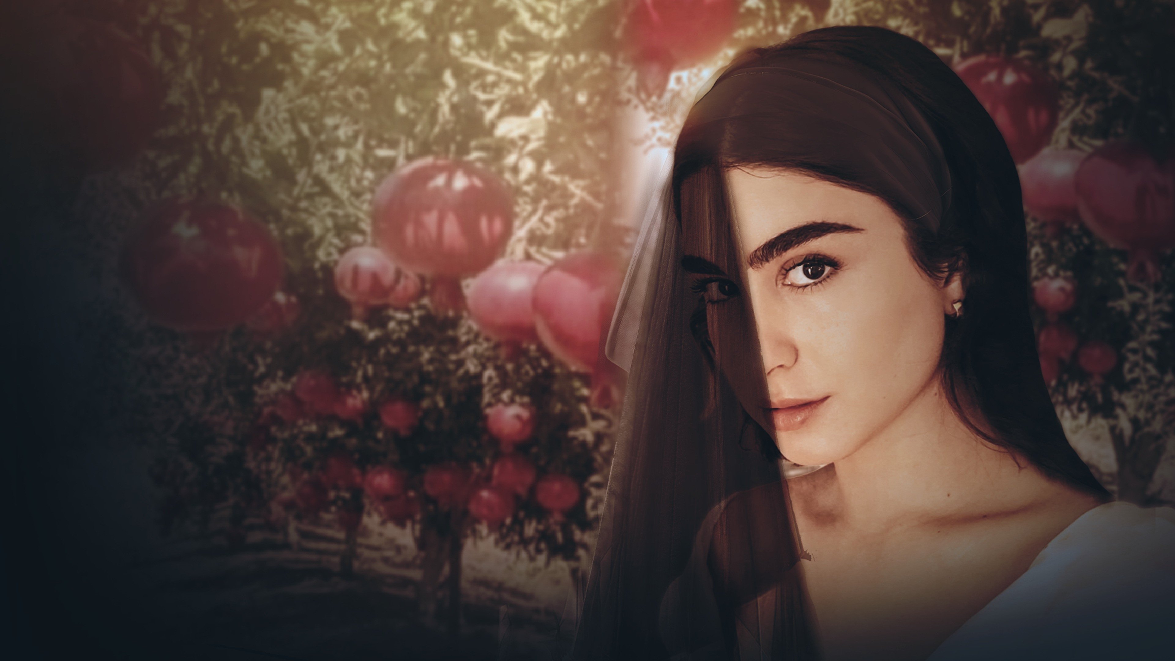 Pomegranate|Pomegranate
