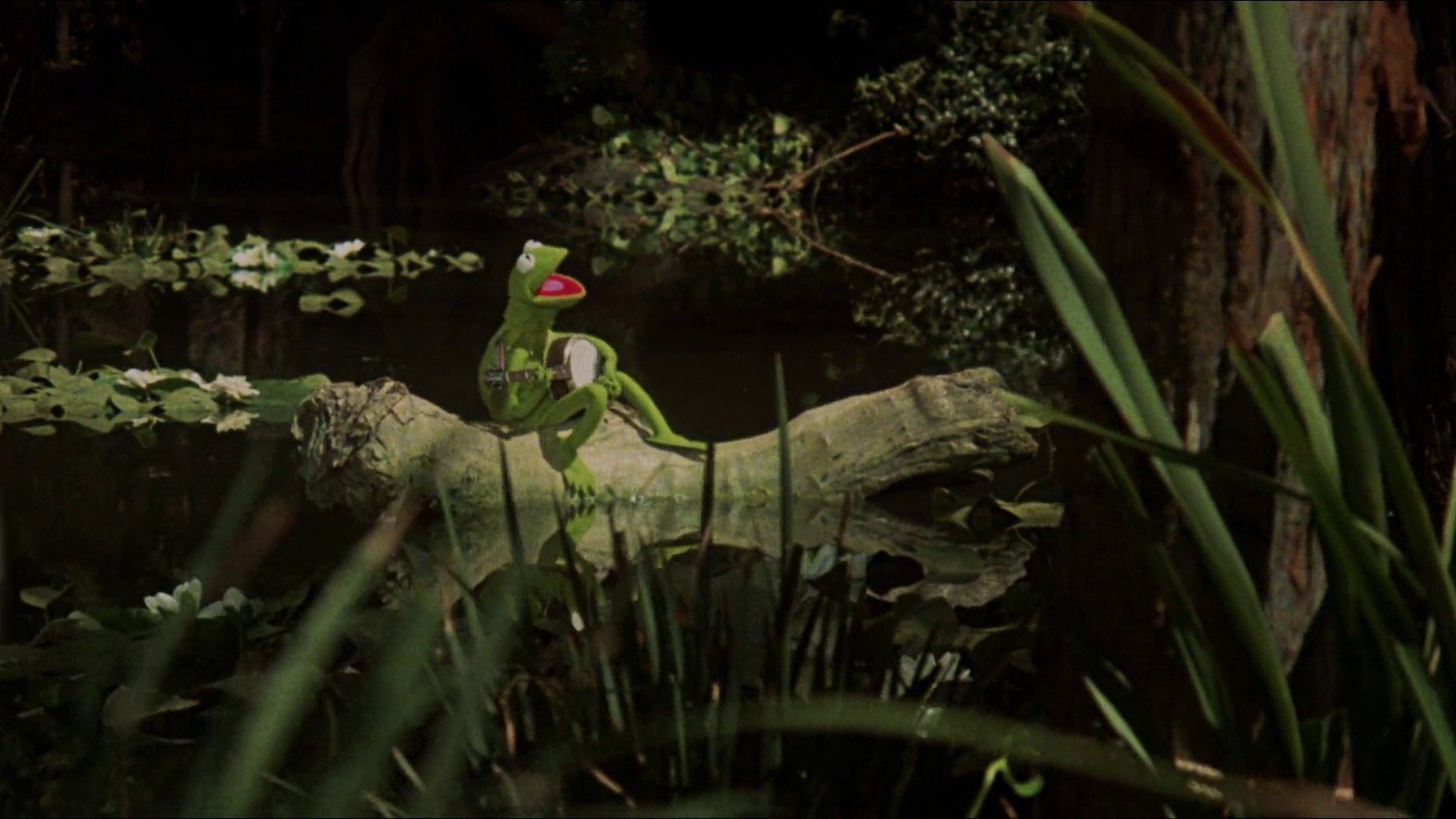 The Muppet Movie|The Muppet Movie