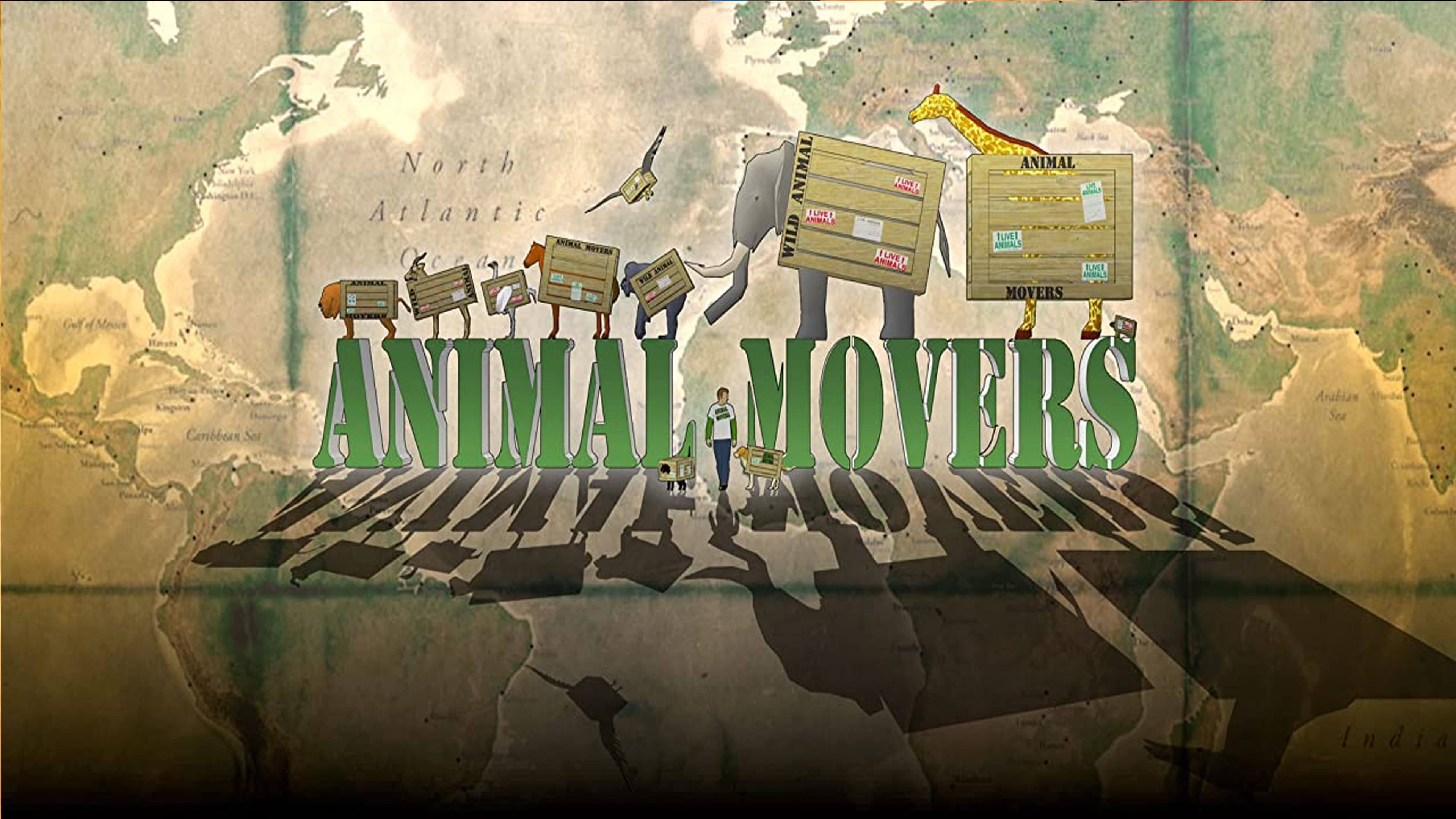 Animal Movers|Animal Movers