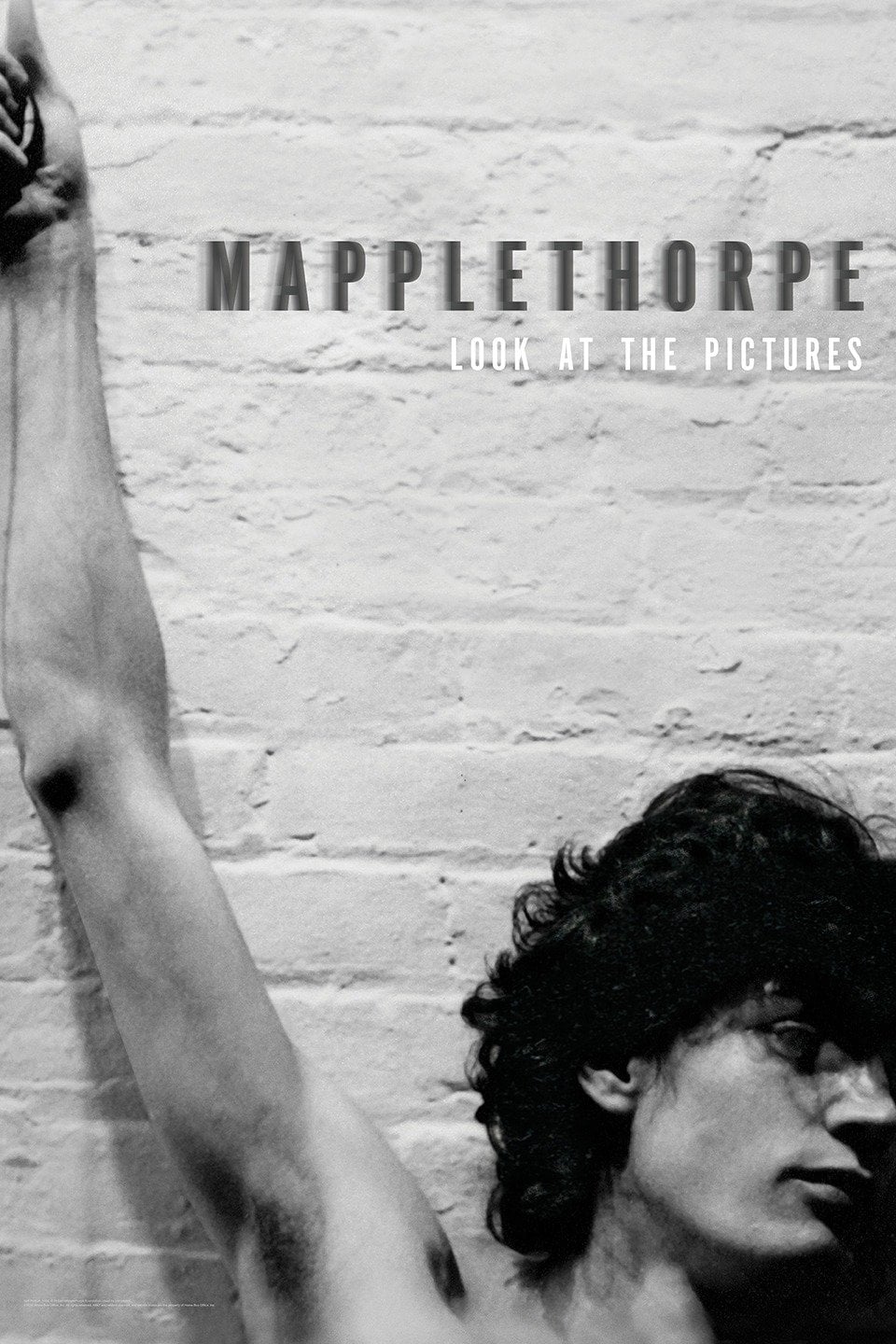 Mapplethorpe: Look at the Pictures | Mapplethorpe: Look at the Pictures