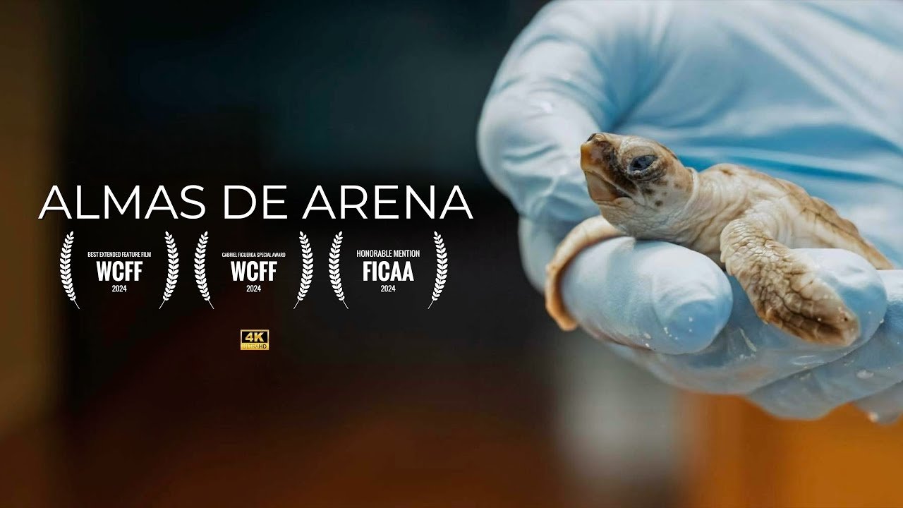 Almas de Arena|Almas de Arena