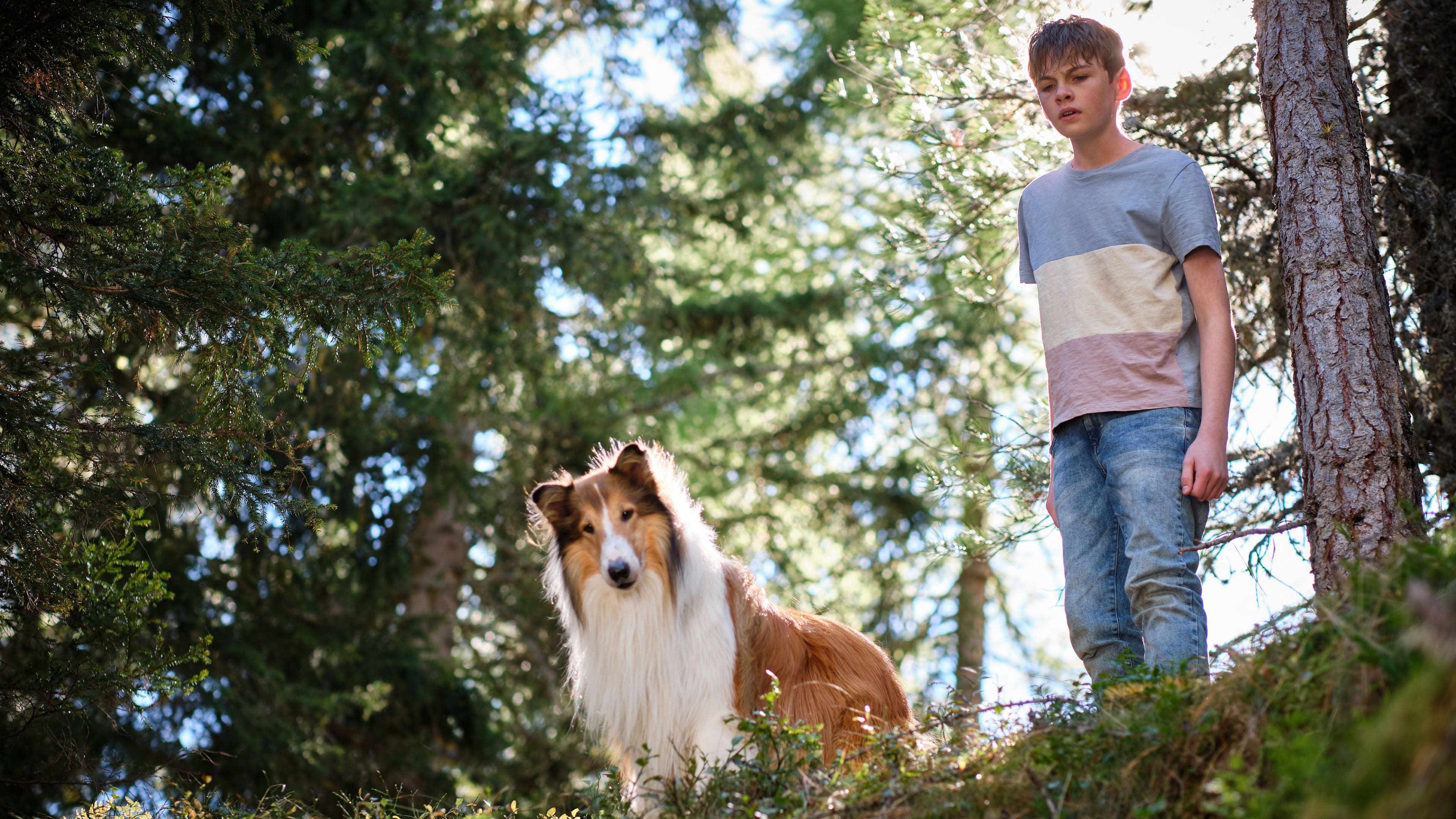 Lassie - Ein neues Abenteuer|Lassie - Ein neues Abenteuer