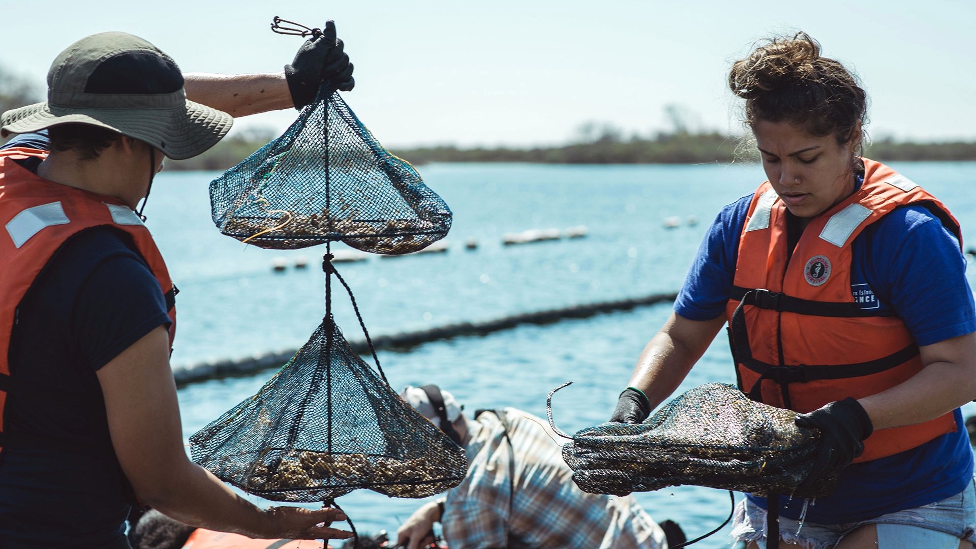 Take Back the Harbor|Take Back the Harbor