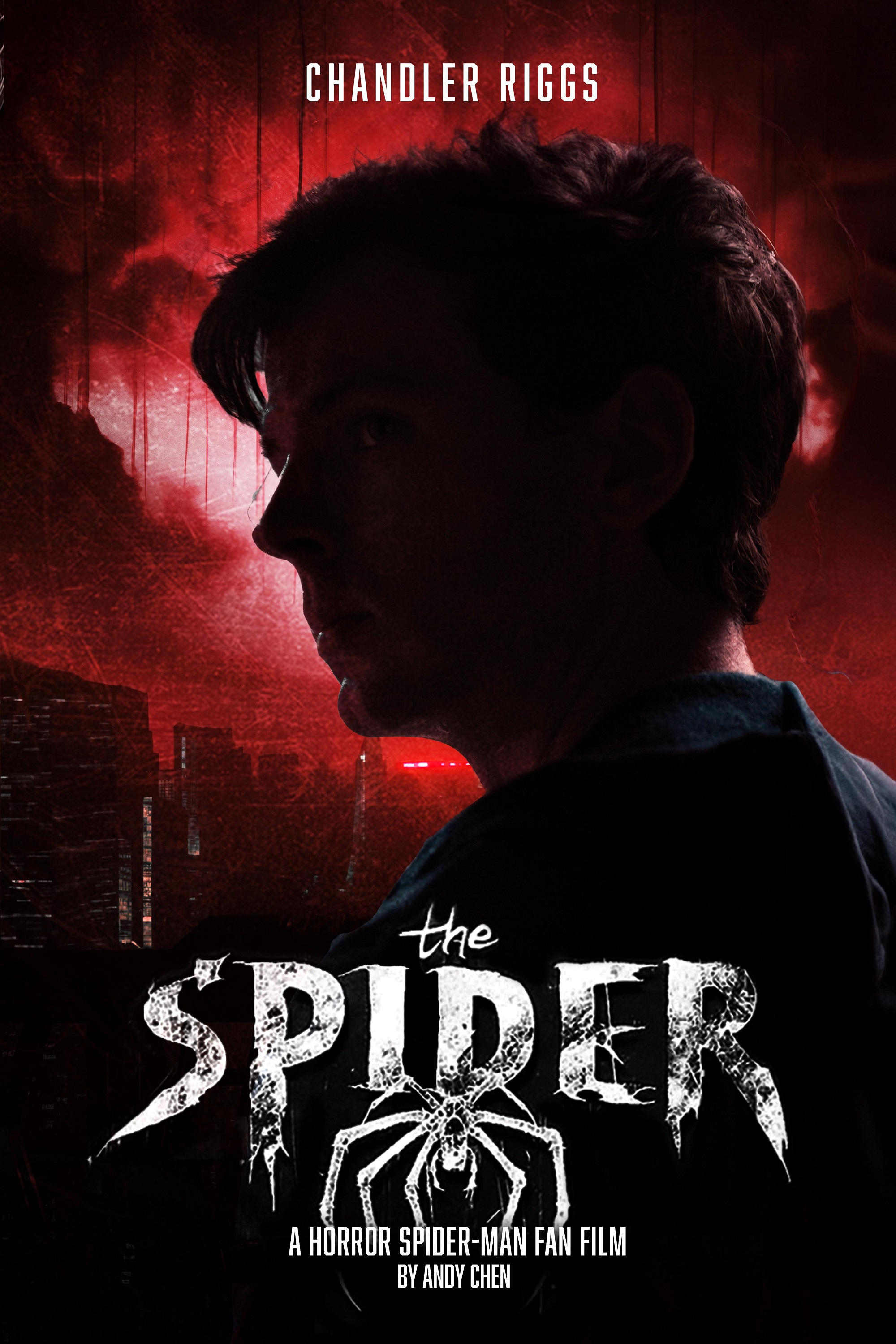 The Spider | The Spider