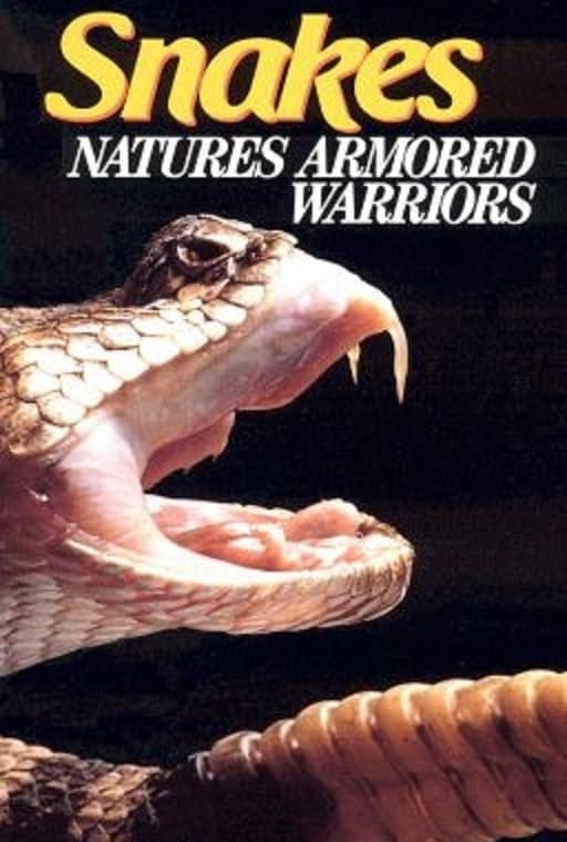 Snakes Natures Armored Warriors | Snakes Natures Armored Warriors