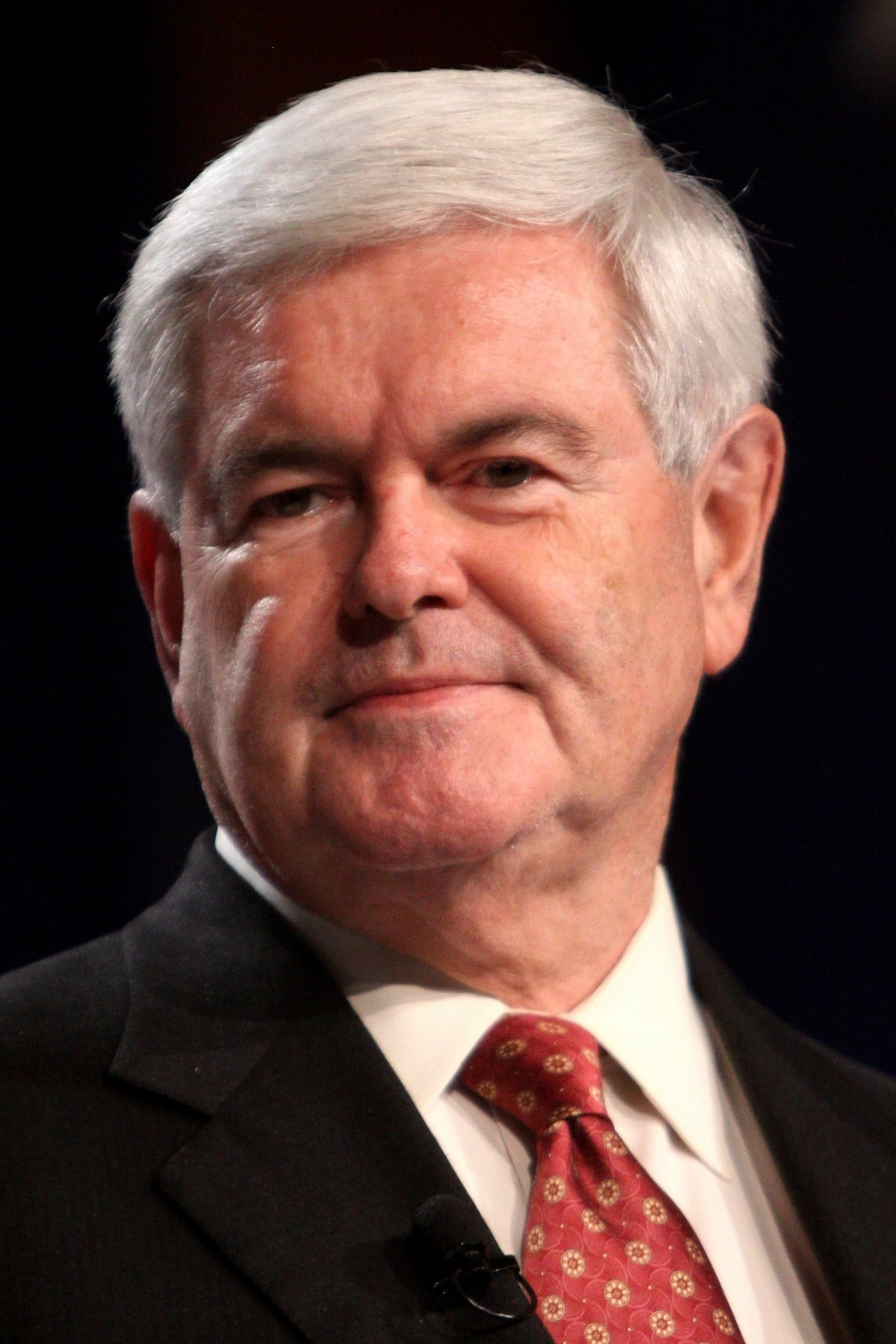 بازیگر Newt Gingrich  