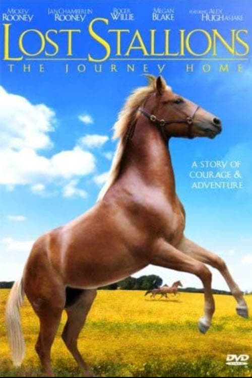 Lost Stallions: The Journey Home | Lost Stallions: The Journey Home