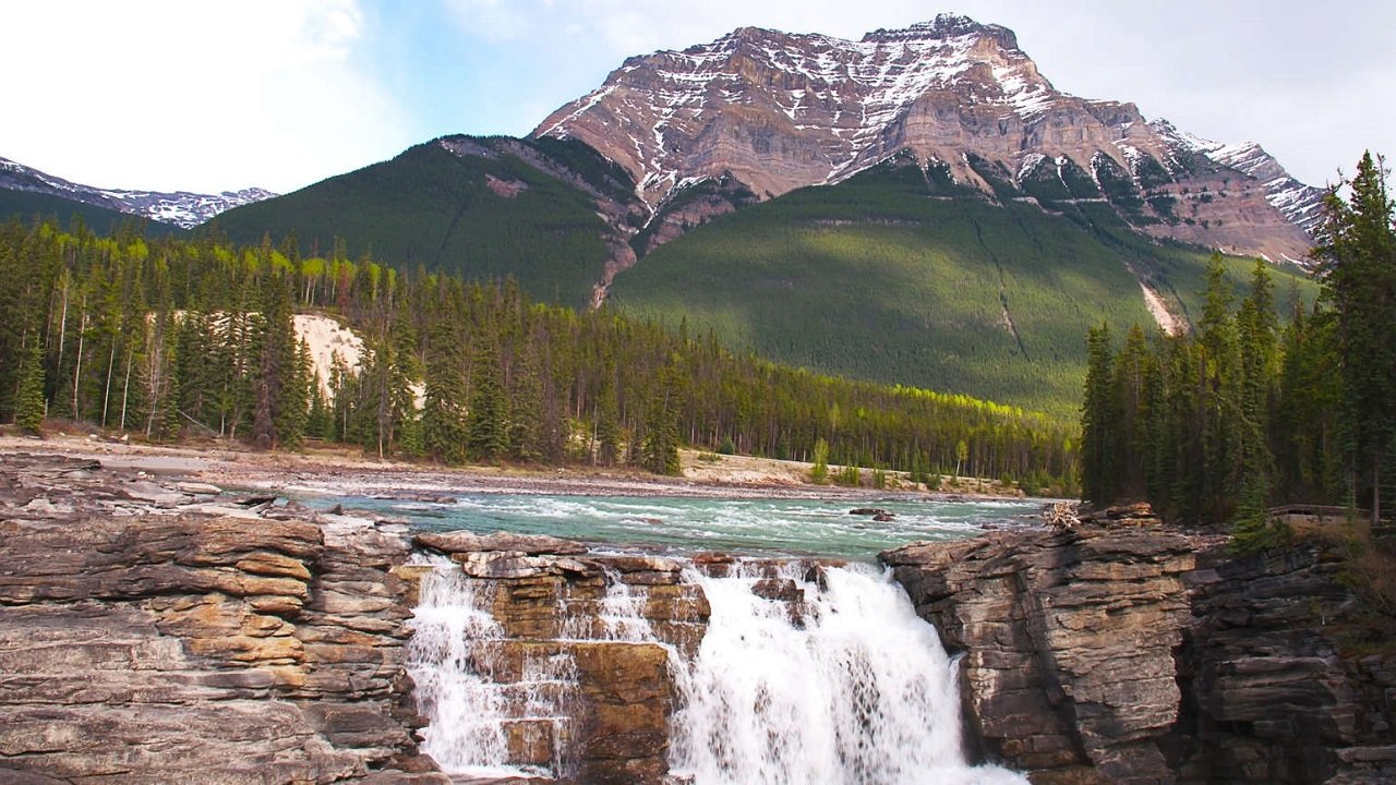 Wild Rockies|Wild Rockies