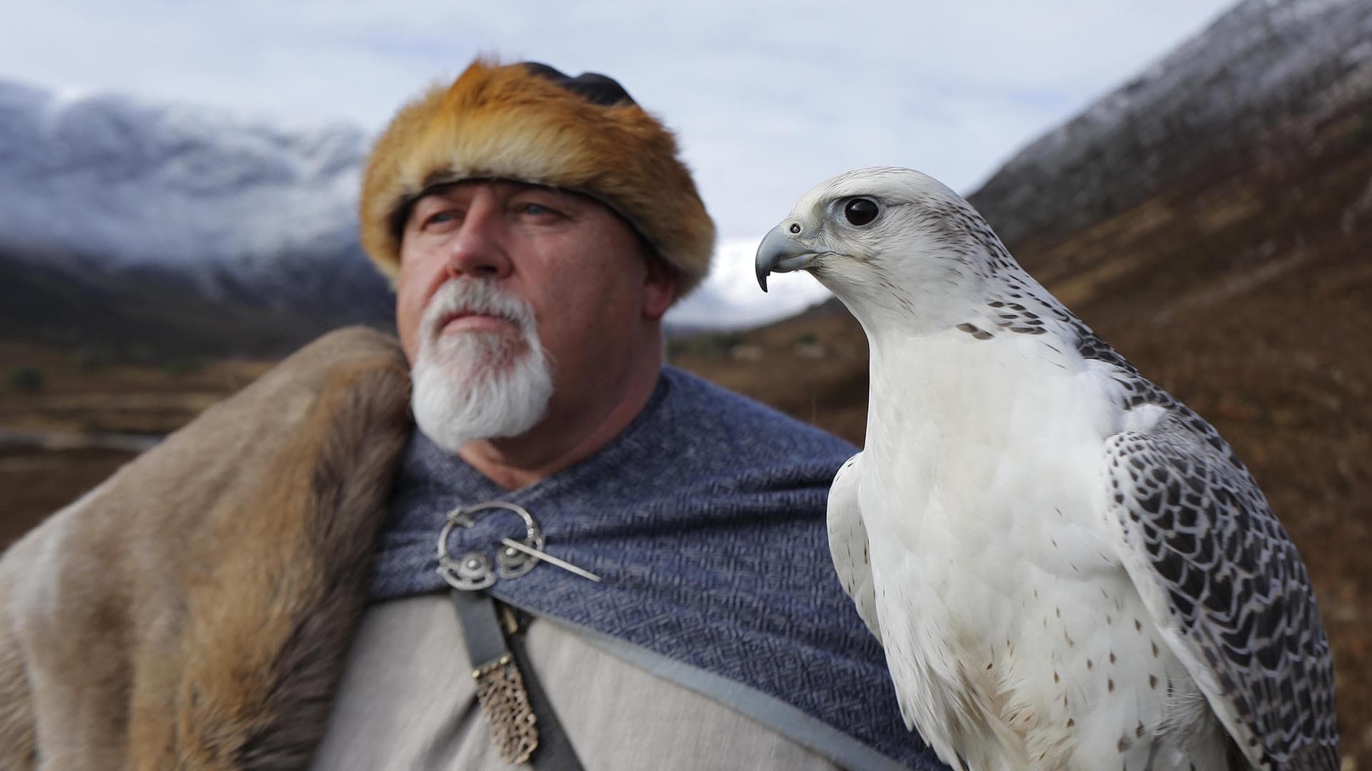 Wild Ways of the Vikings|Wild Ways of the Vikings