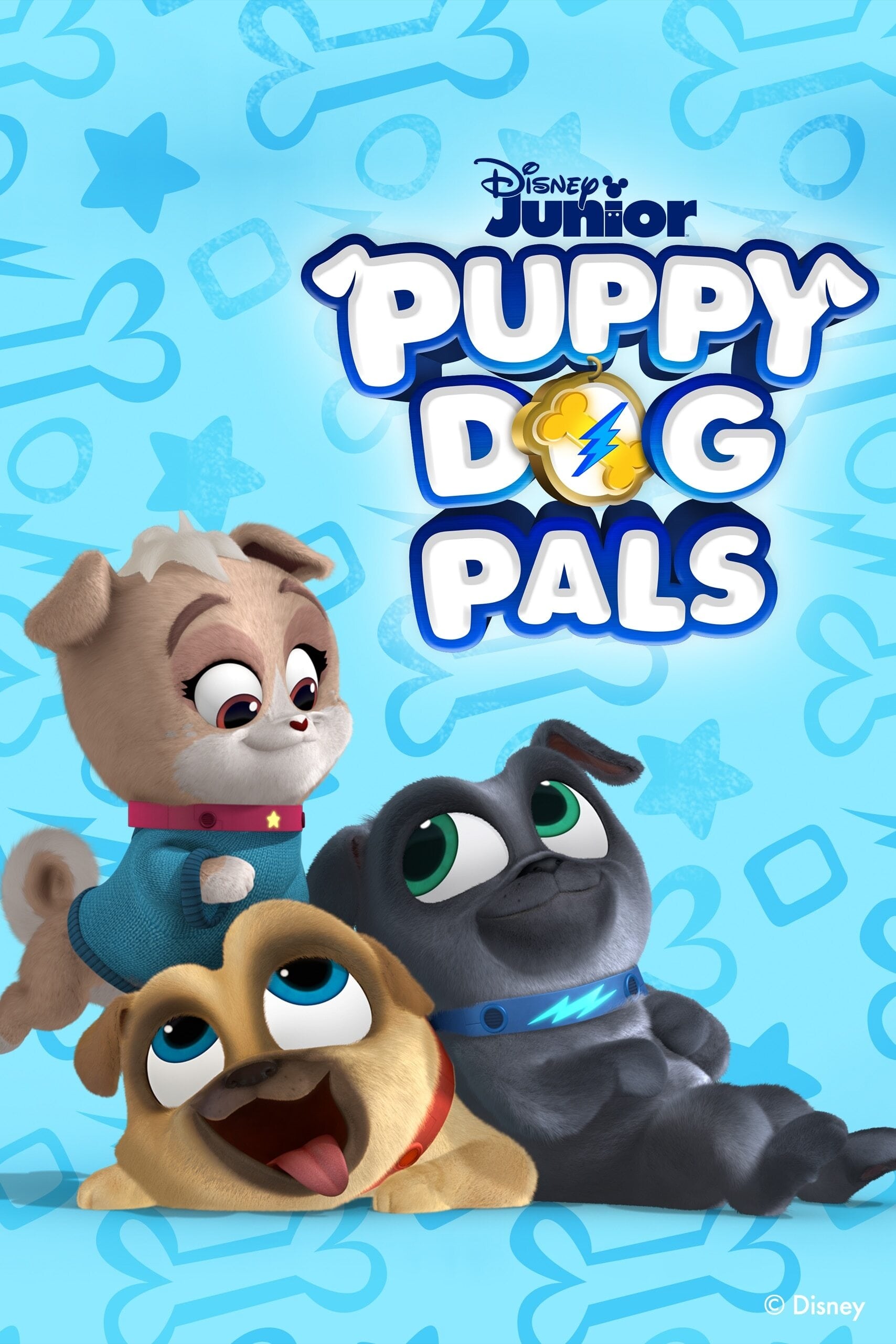 Puppy Dog Pals | Puppy Dog Pals