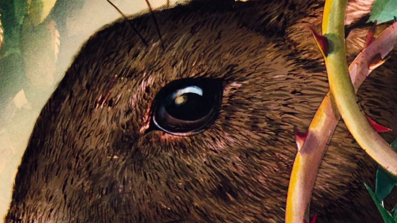 Watership Down|Watership Down